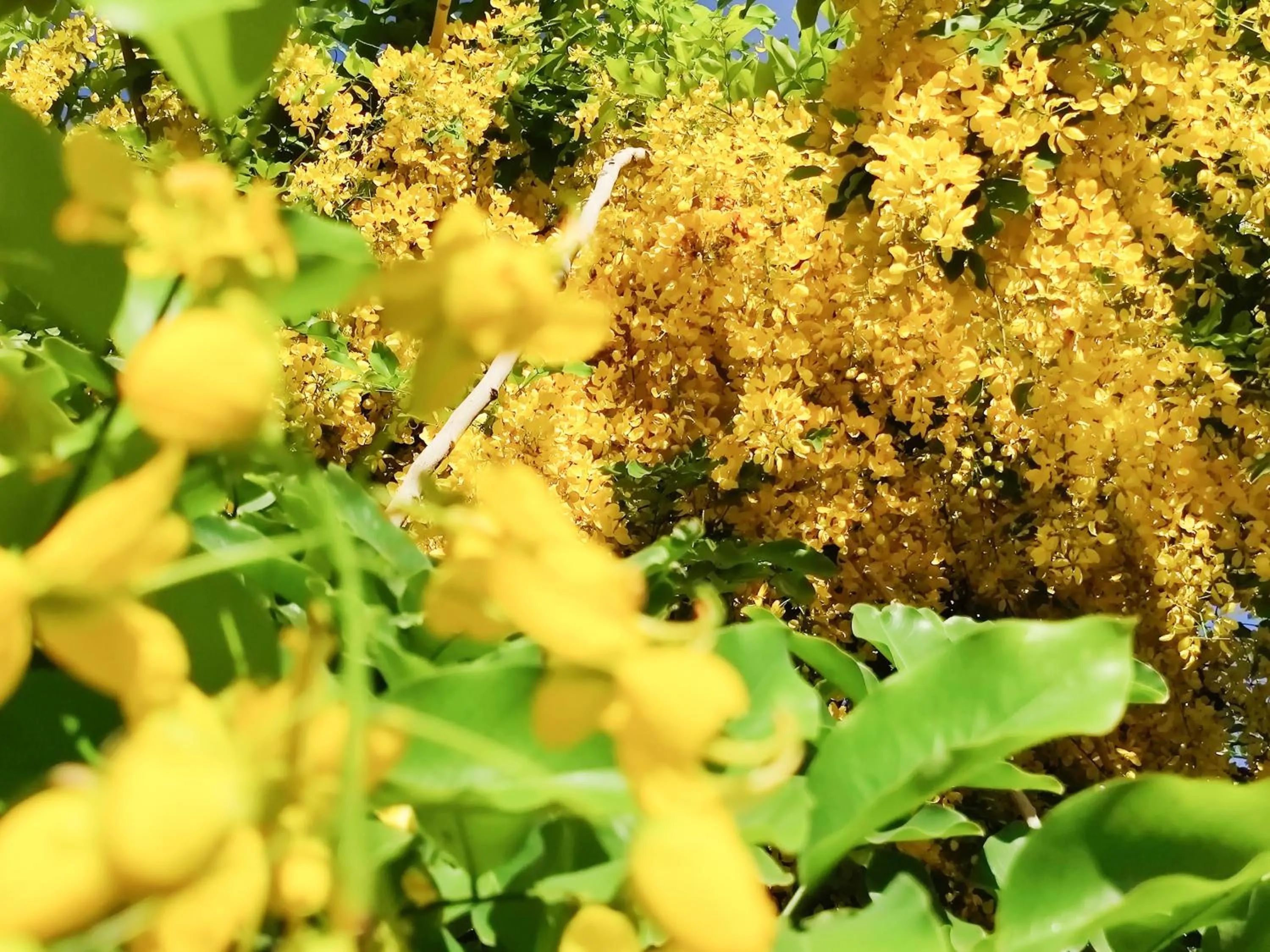 Off site in Hotel Torifito Naha Asahibashi