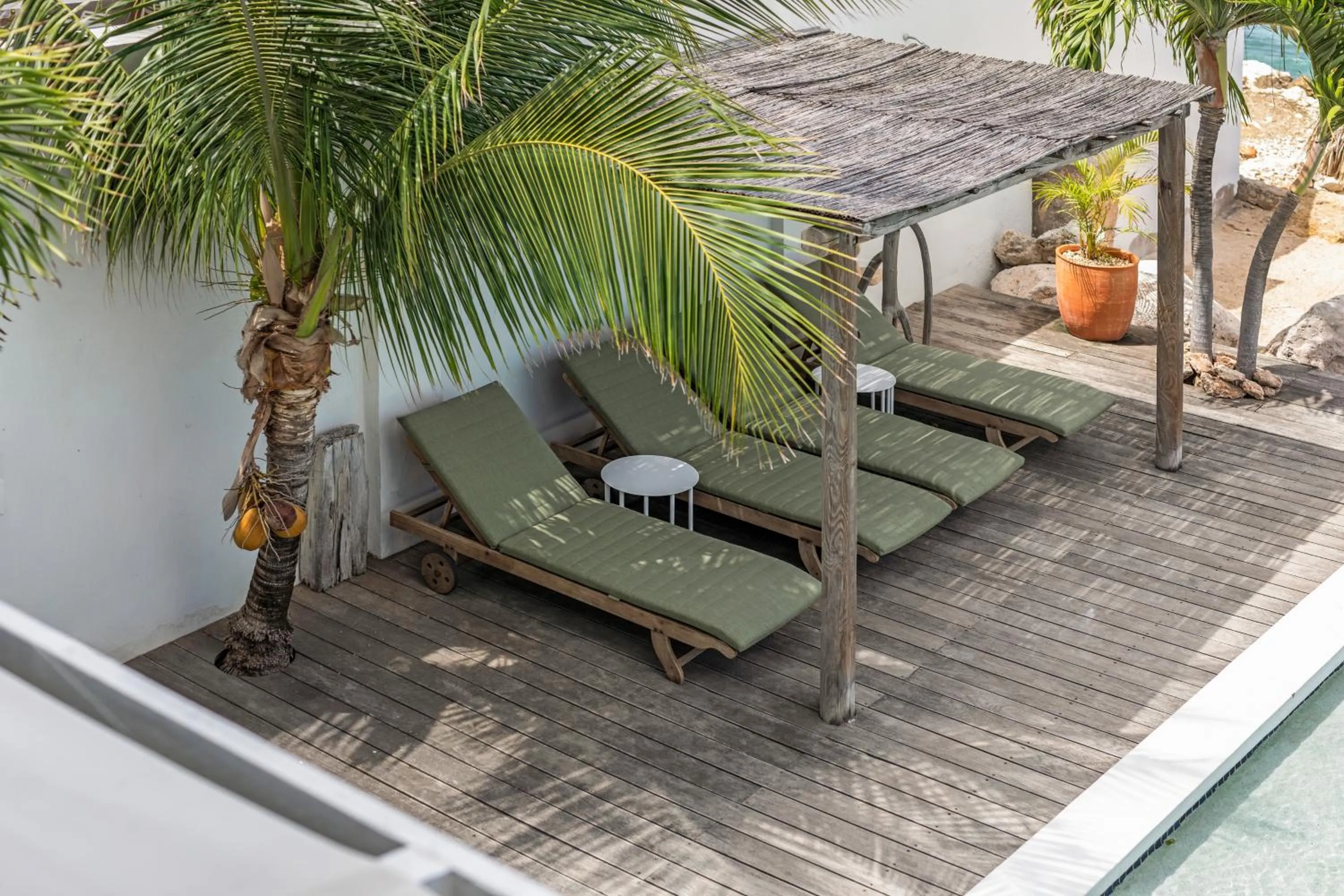 Garden in PM78 Boutique Apartments