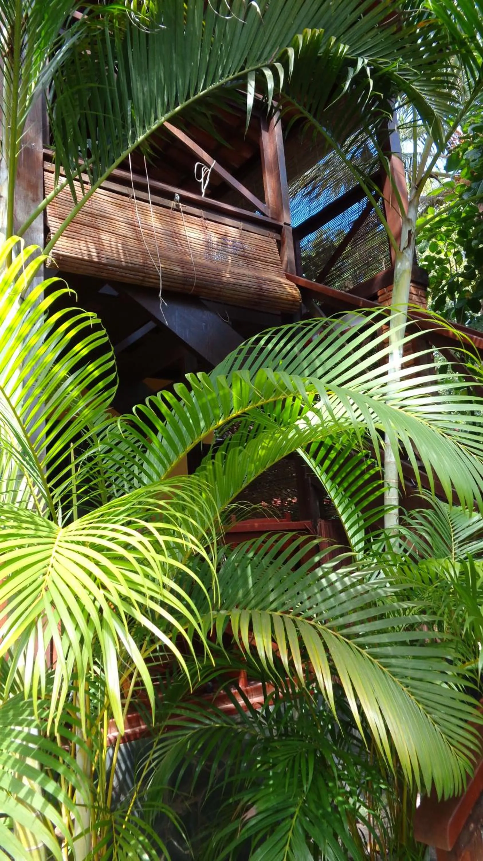 Garden in Pousada Boutique Recanto Do Encanto - GAMBOA - Morro de São Paulo