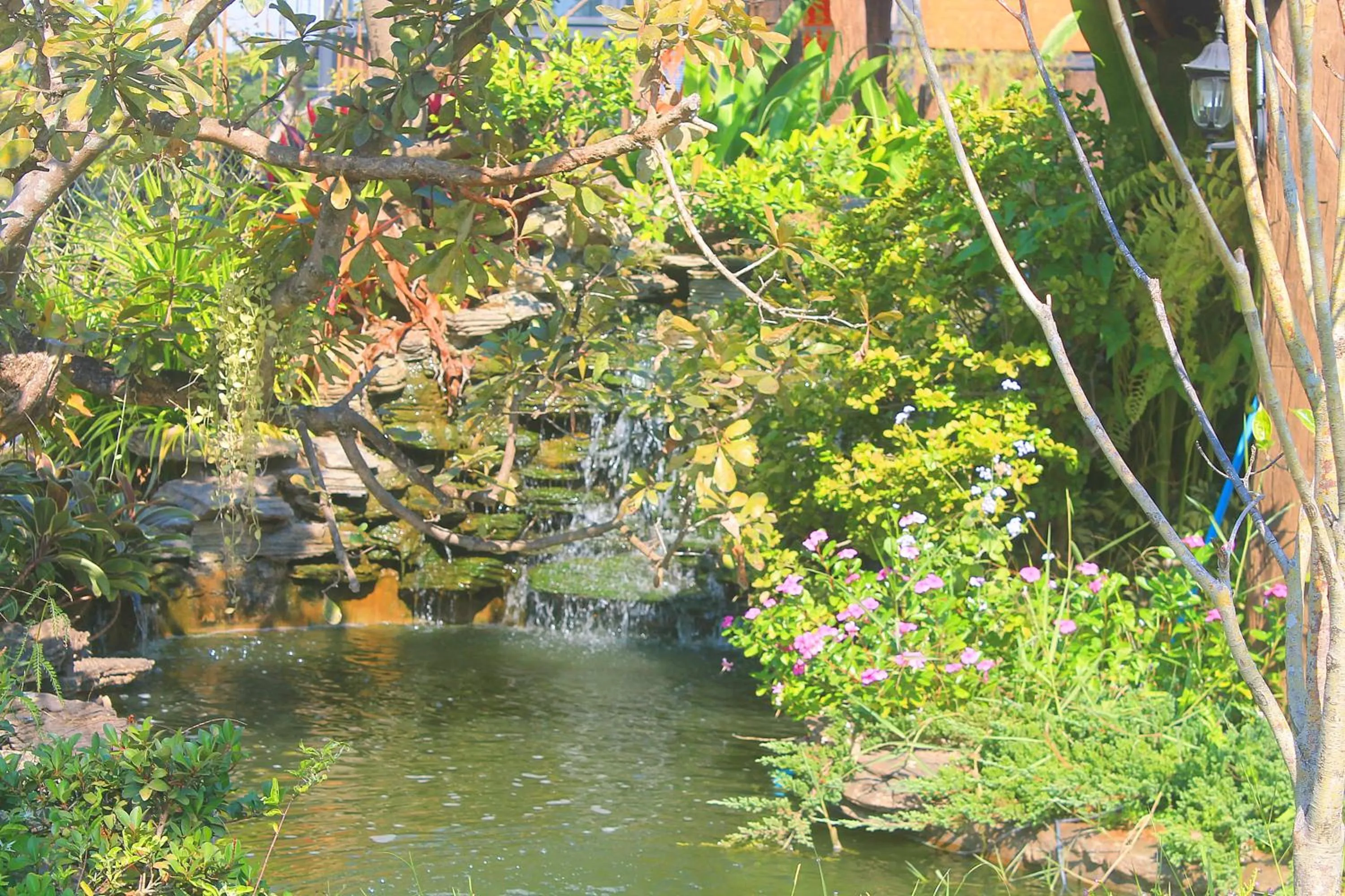 Natural landscape in Naga Tara Boutique Resort