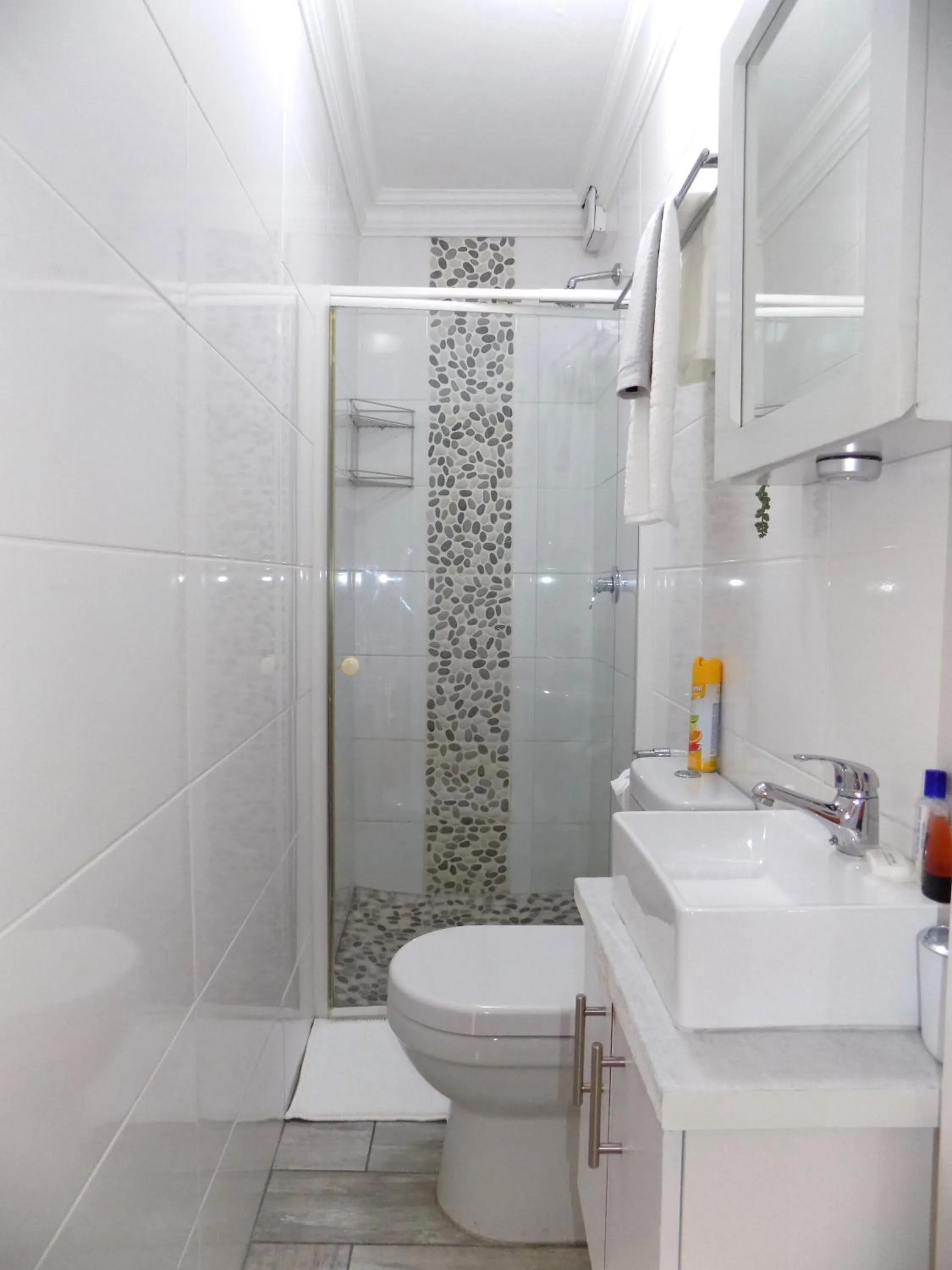 Shower in 2-bedroom Sea View Apartments