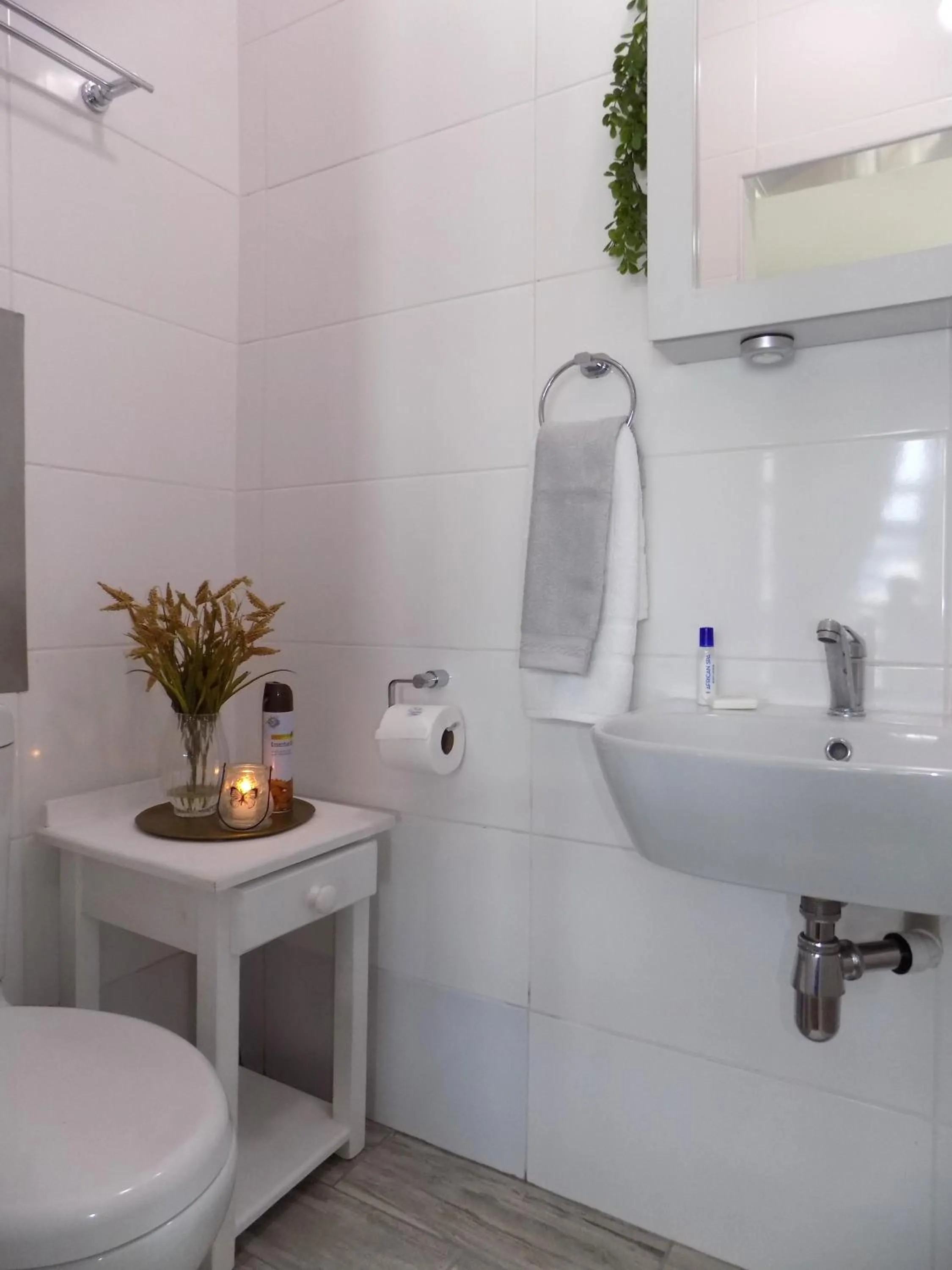 Bathroom in 2-bedroom Sea View Apartments