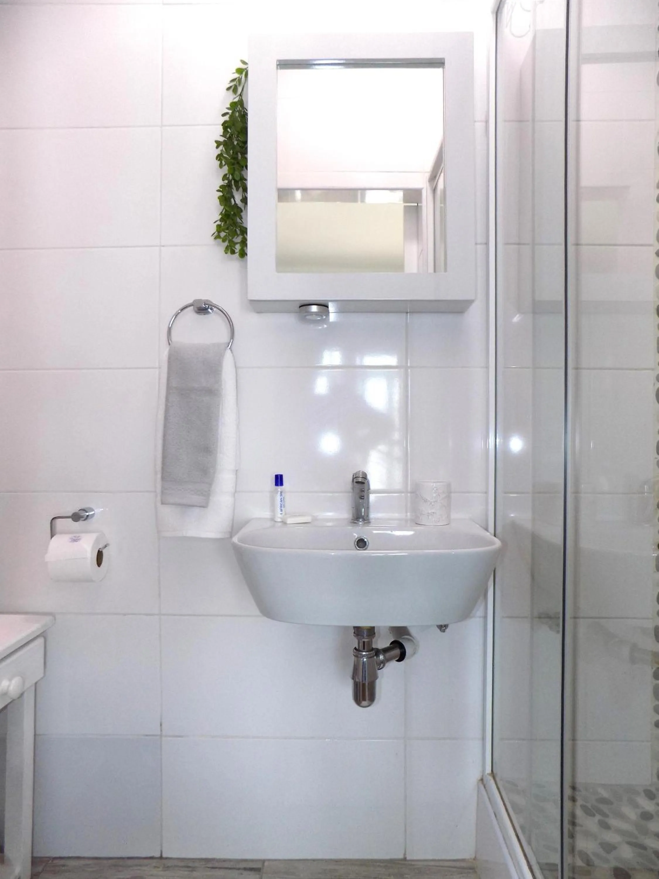 Shower in 2-bedroom Sea View Apartments