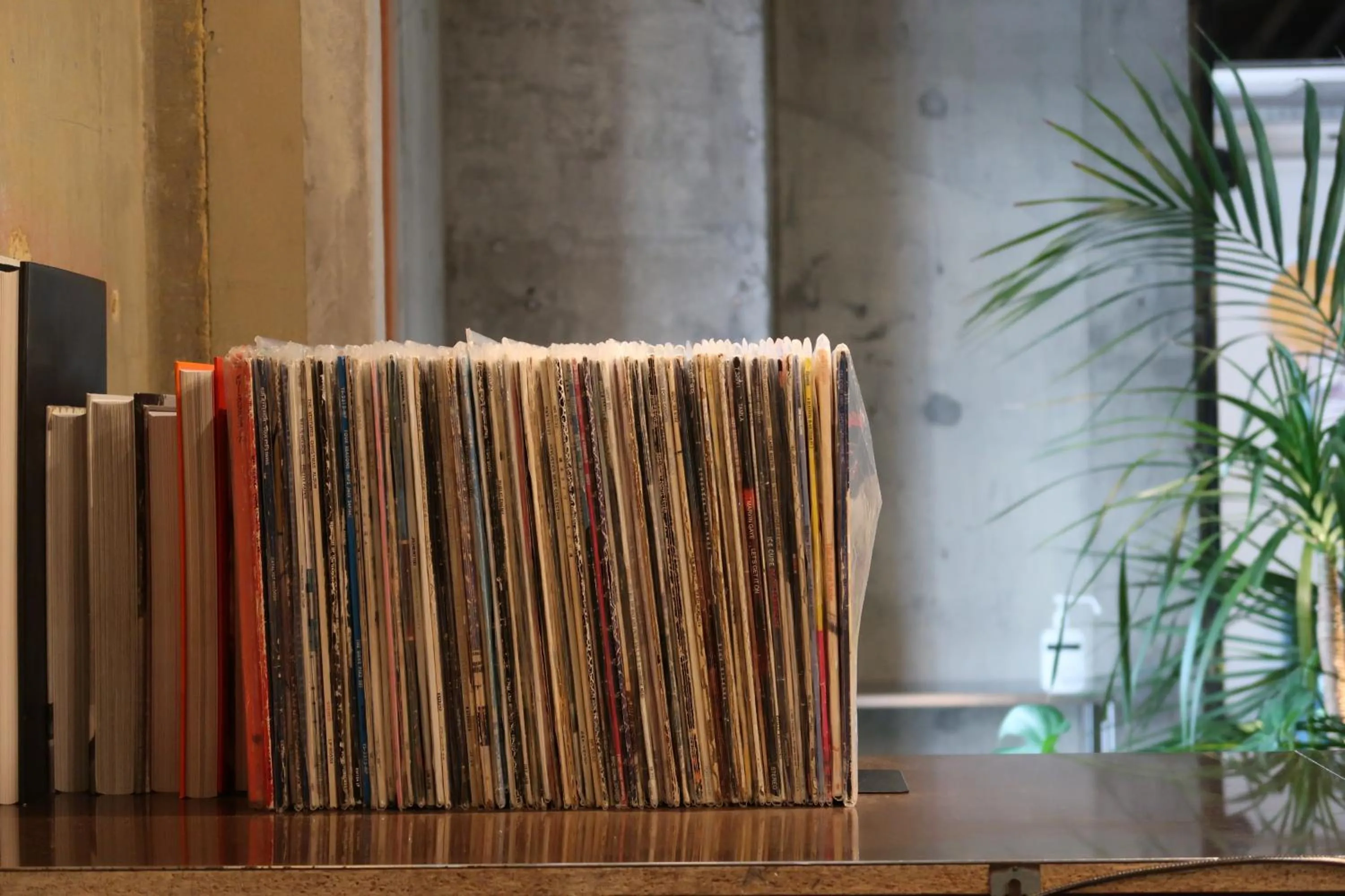 Lobby or reception in miss morgan hotel