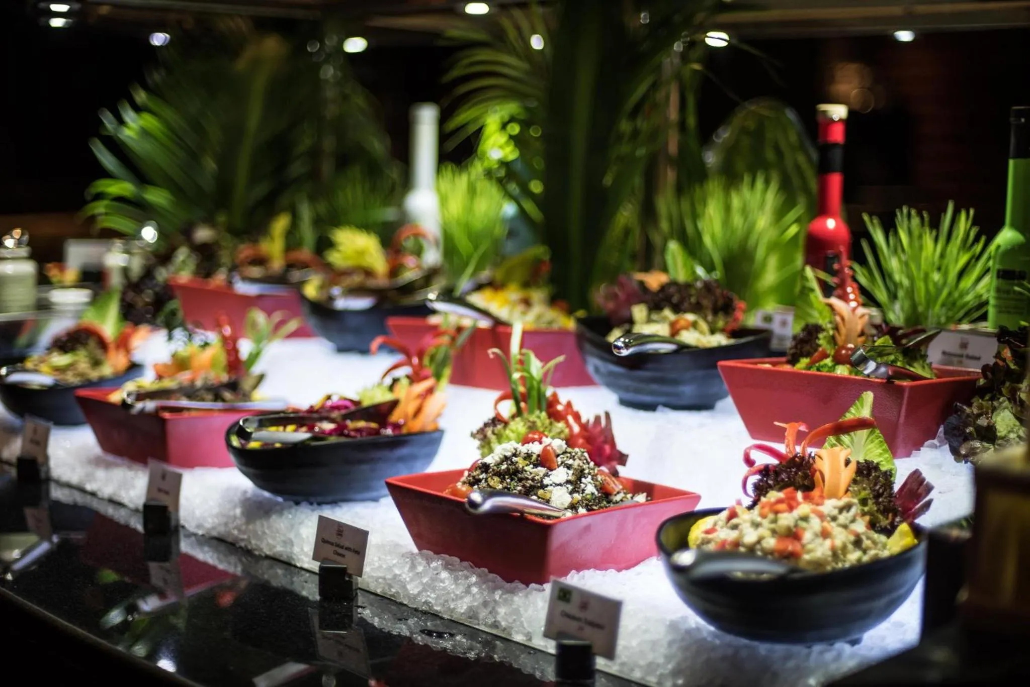 Restaurant/places to eat in Millennium Plaza Downtown Suites