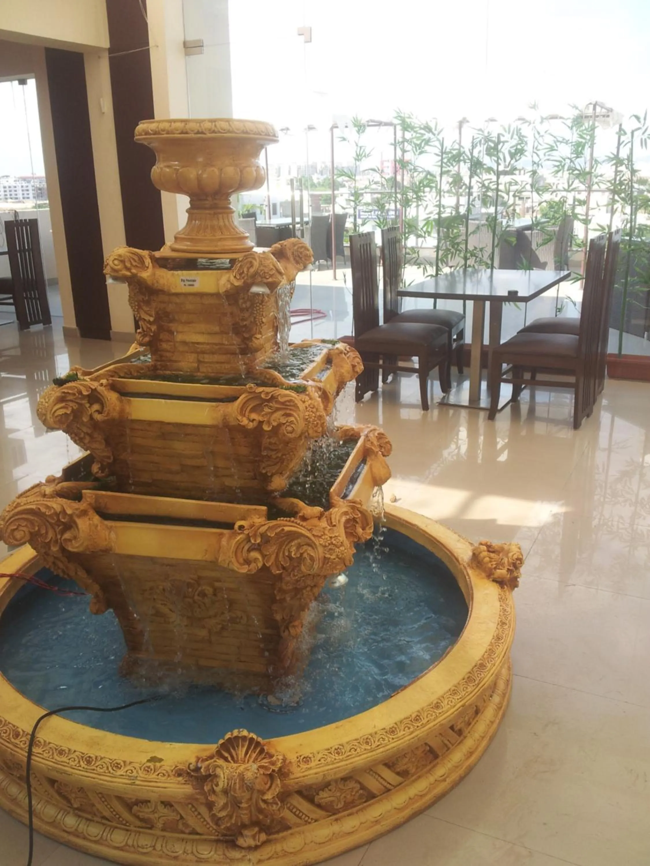 Restaurant/places to eat in Hotel Savi Regency