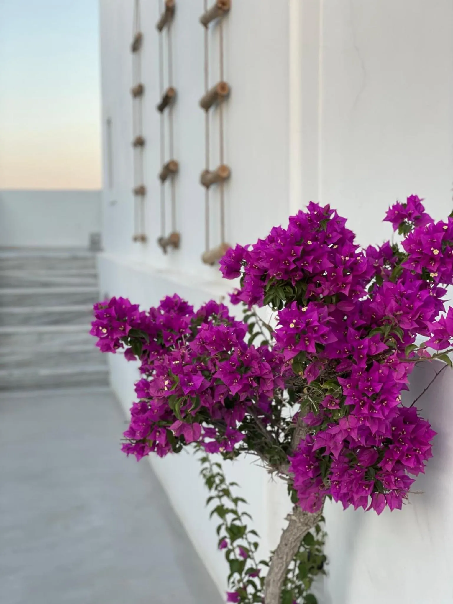 Property building in DL Santorini