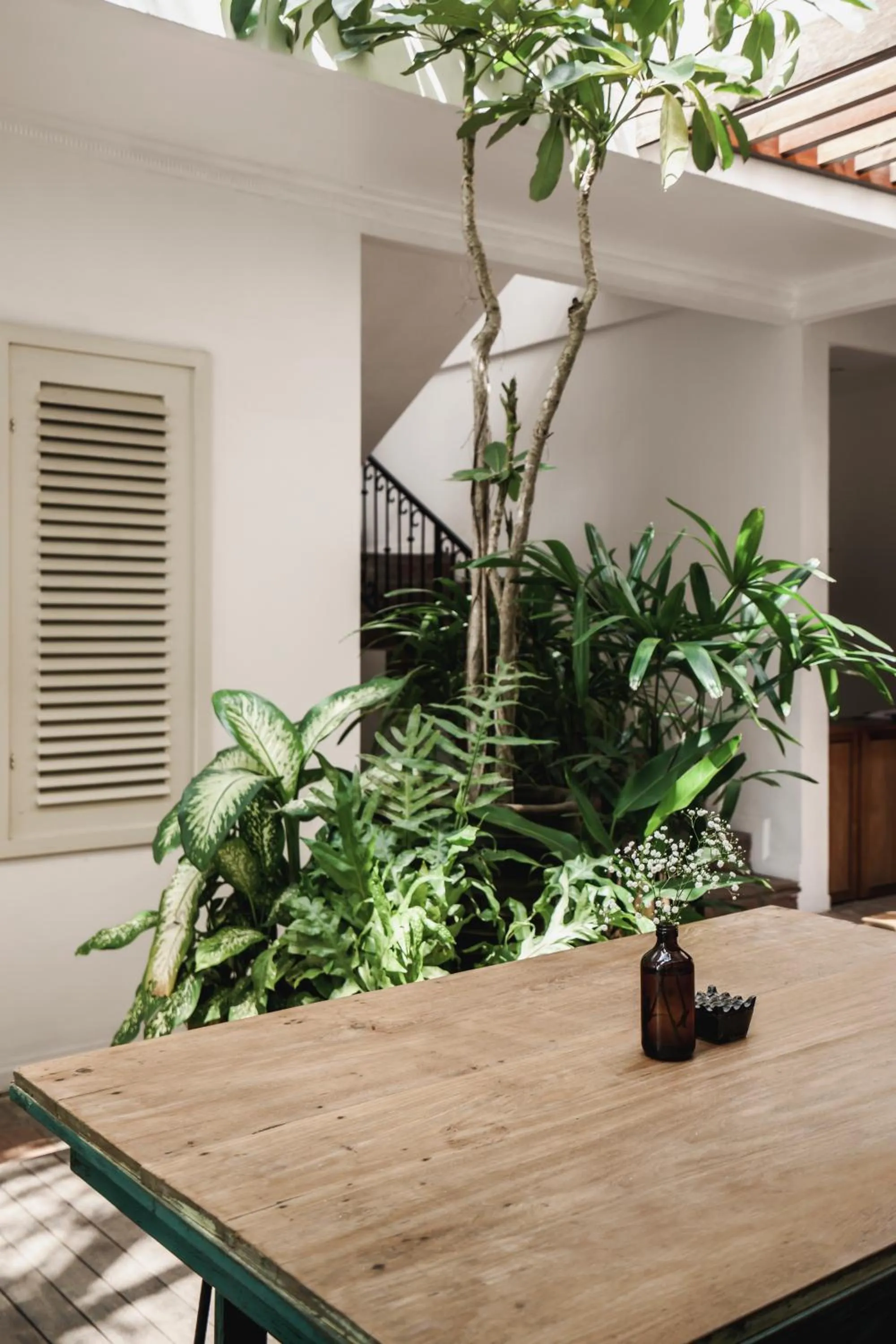 Garden view in Brown Feather Hotel