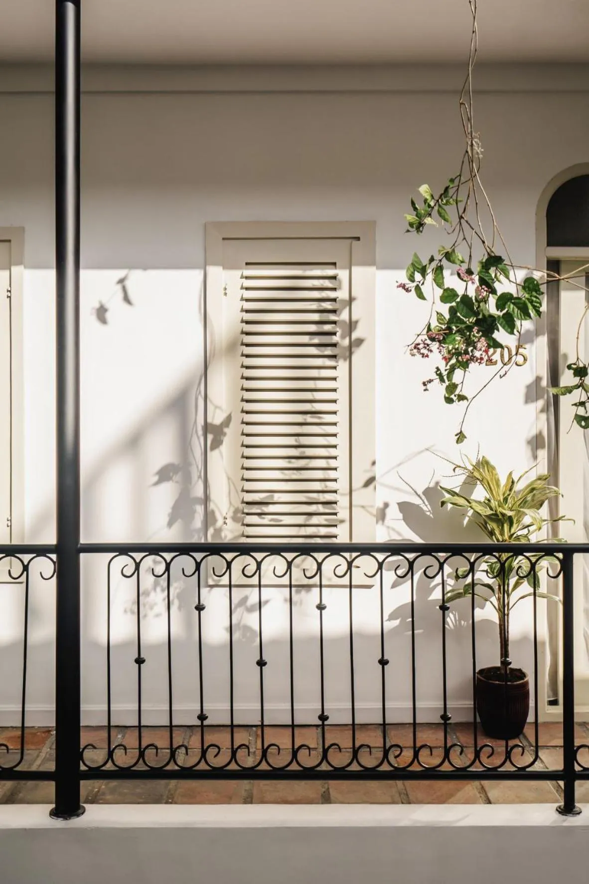Balcony/Terrace in Brown Feather Hotel