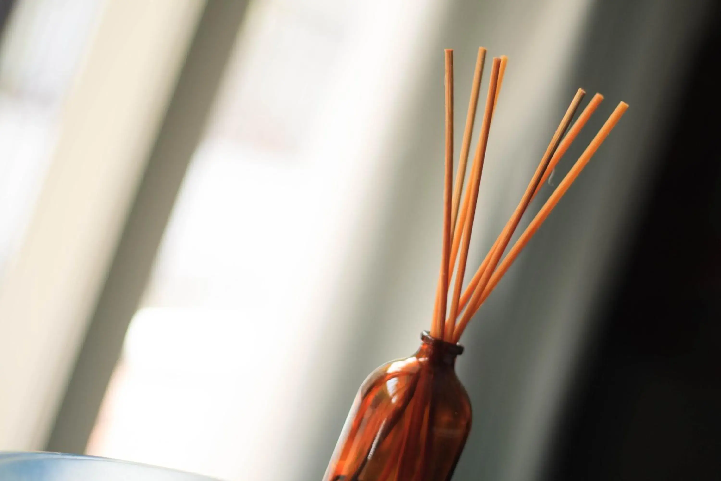 Other in Brown Feather Hotel Other in Brown Feather Hotel