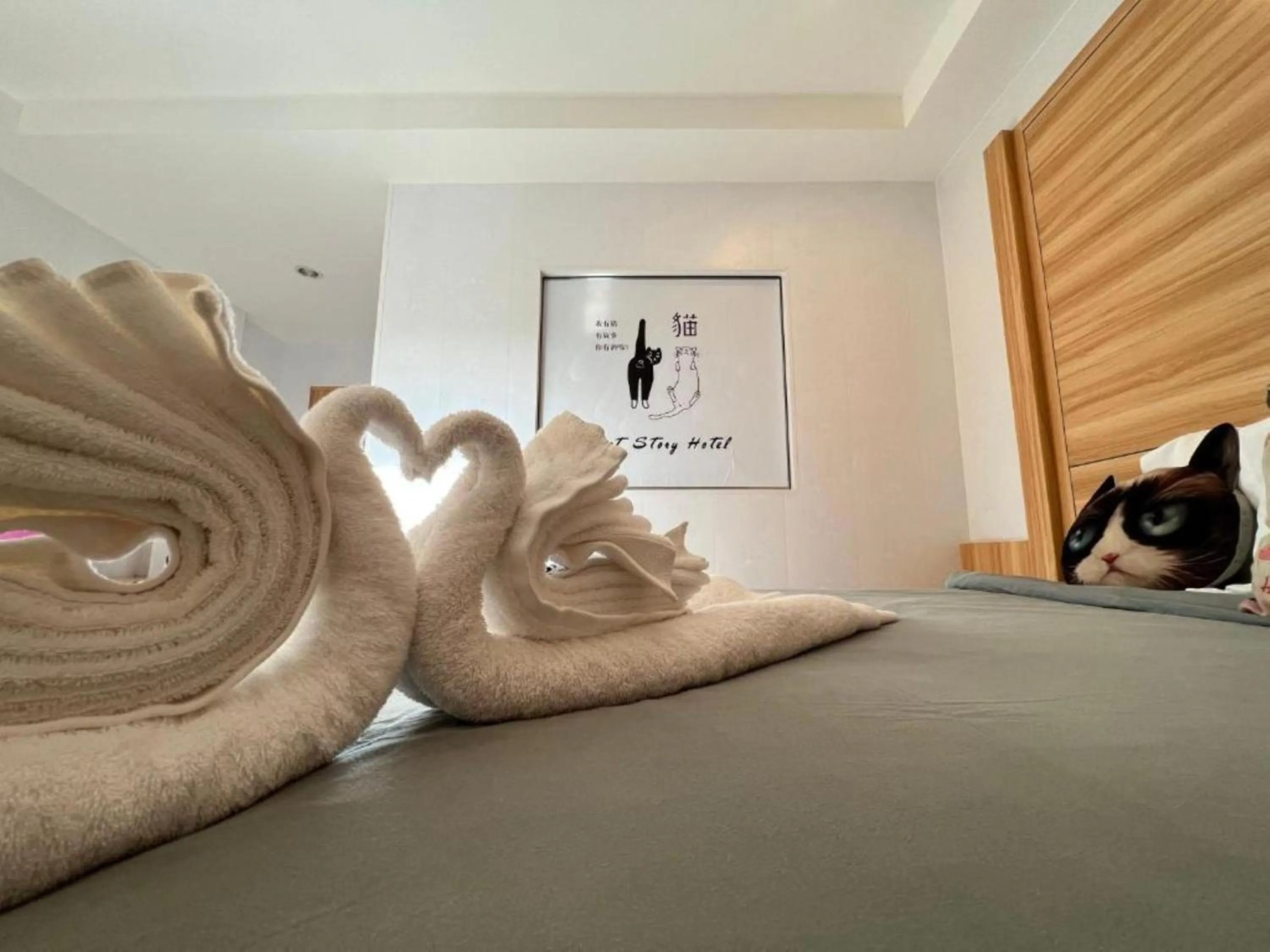 Bedroom, Bed in Cat Story Hotel