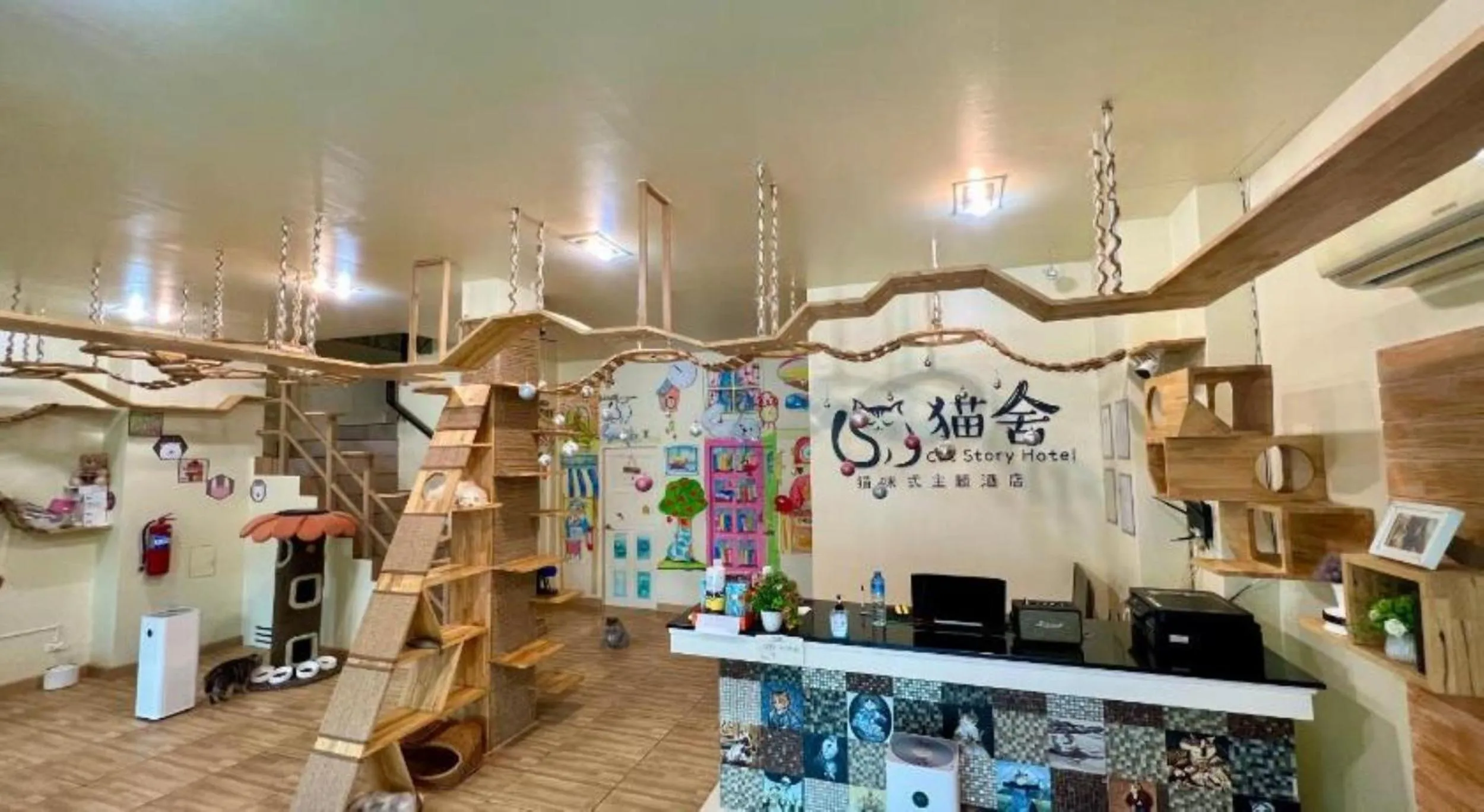 Lobby or reception in Cat Story Hotel