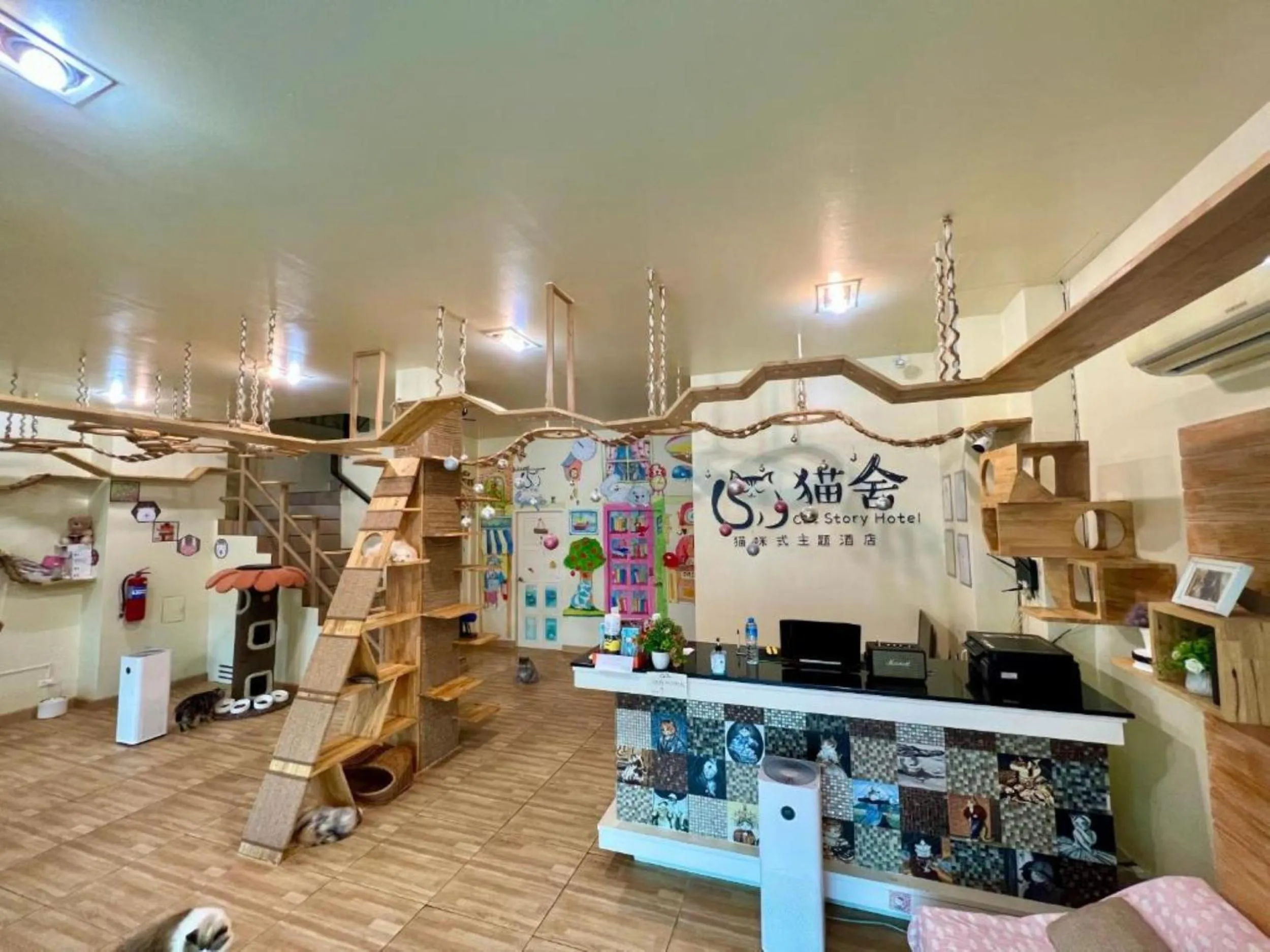 Lobby or reception in Cat Story Hotel