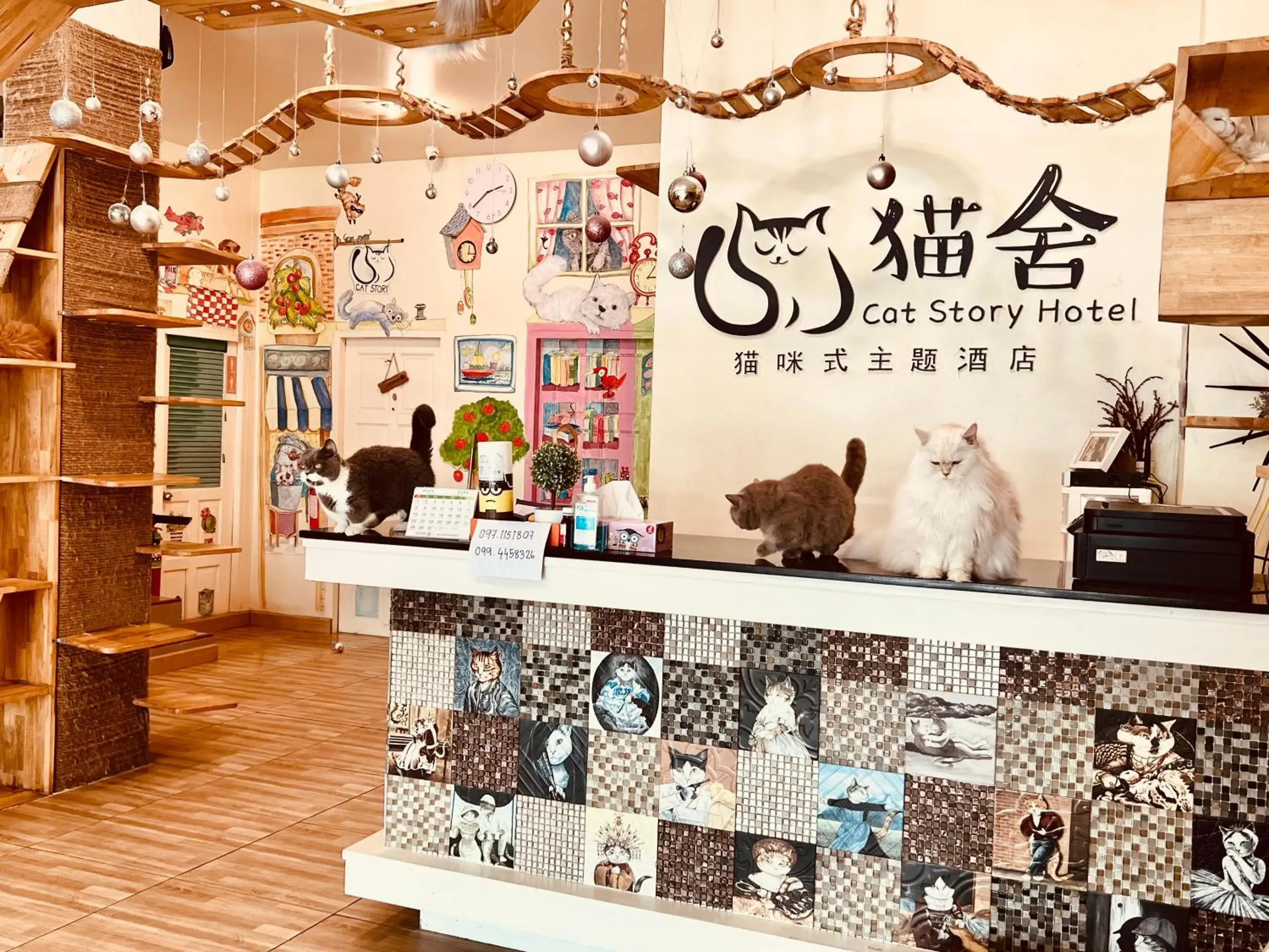 Cat Story Hotel Cat Story Hotel