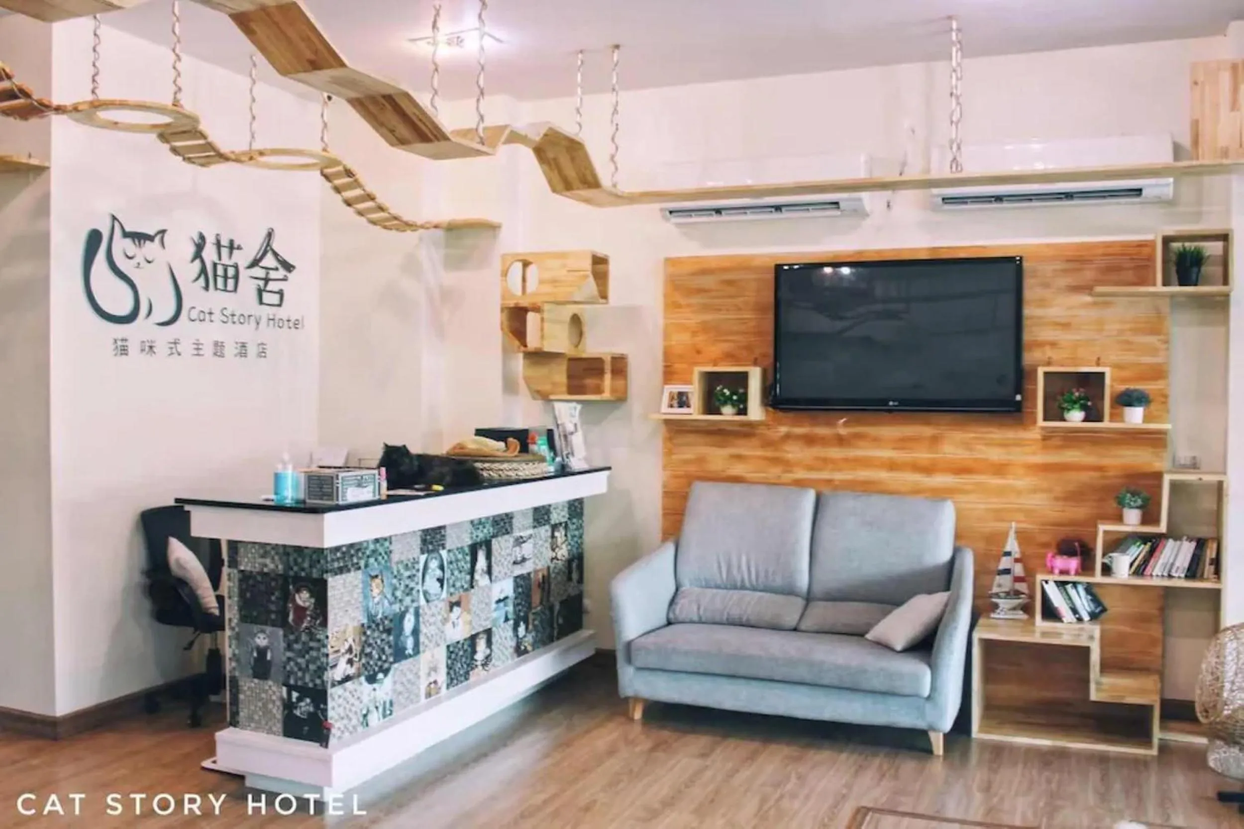 Lobby or reception in Cat Story Hotel