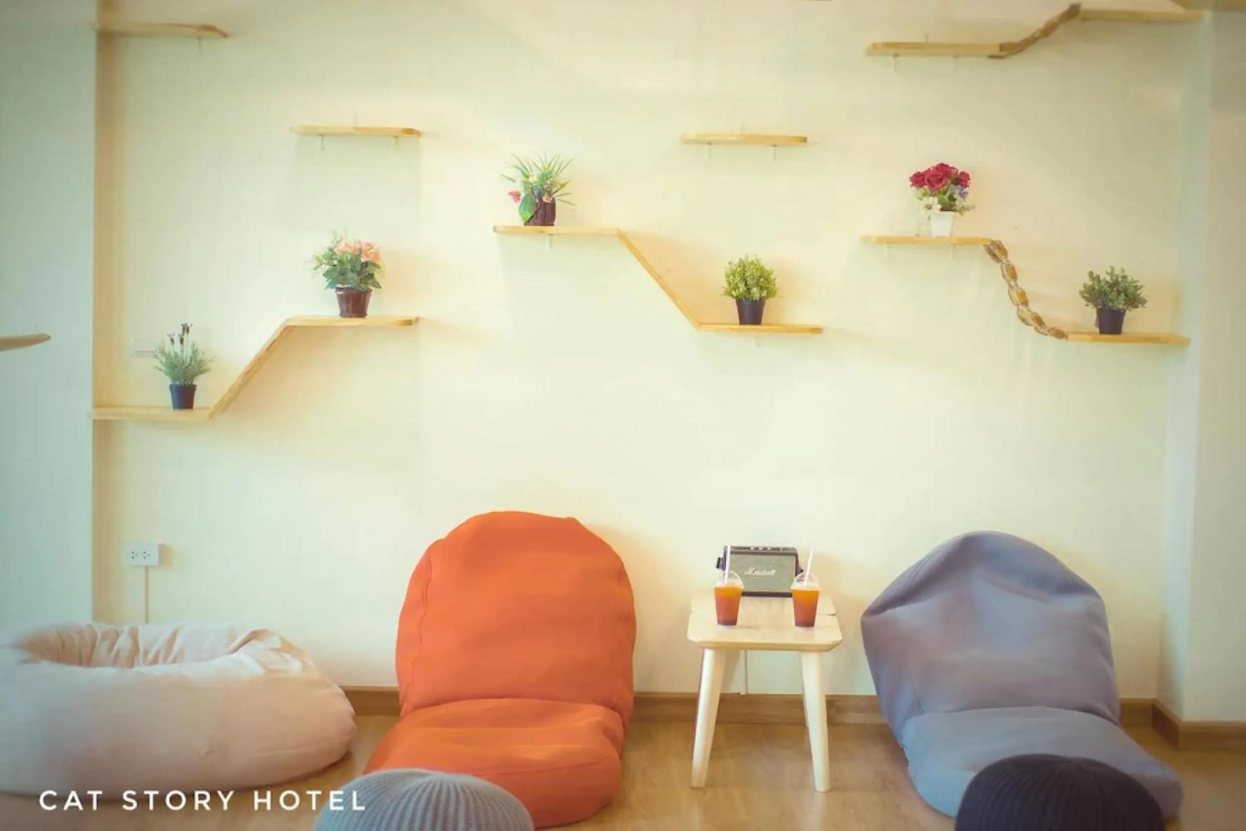 Decorative detail in Cat Story Hotel