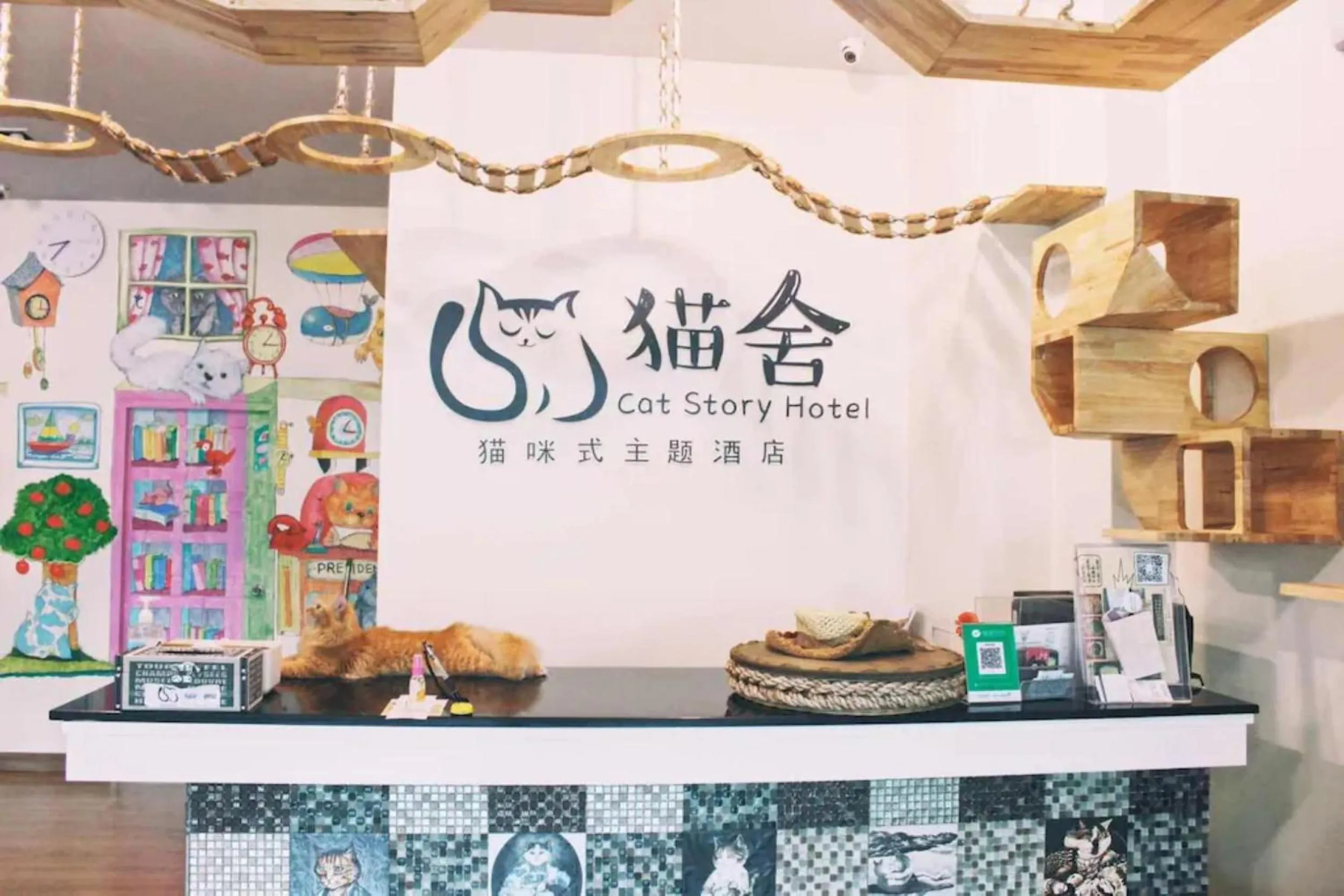 Lobby or reception in Cat Story Hotel