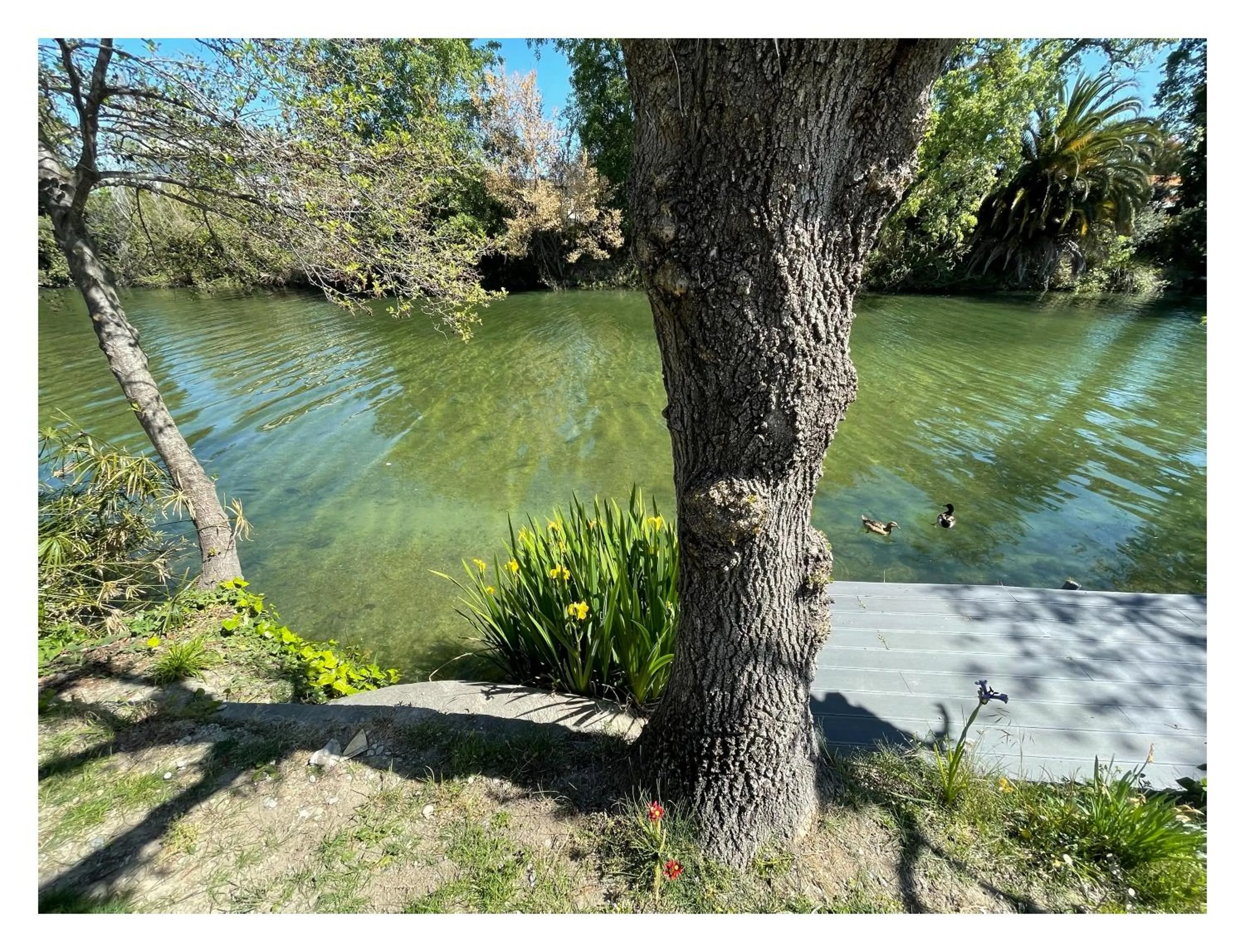 River view in Villa Louise-Rose