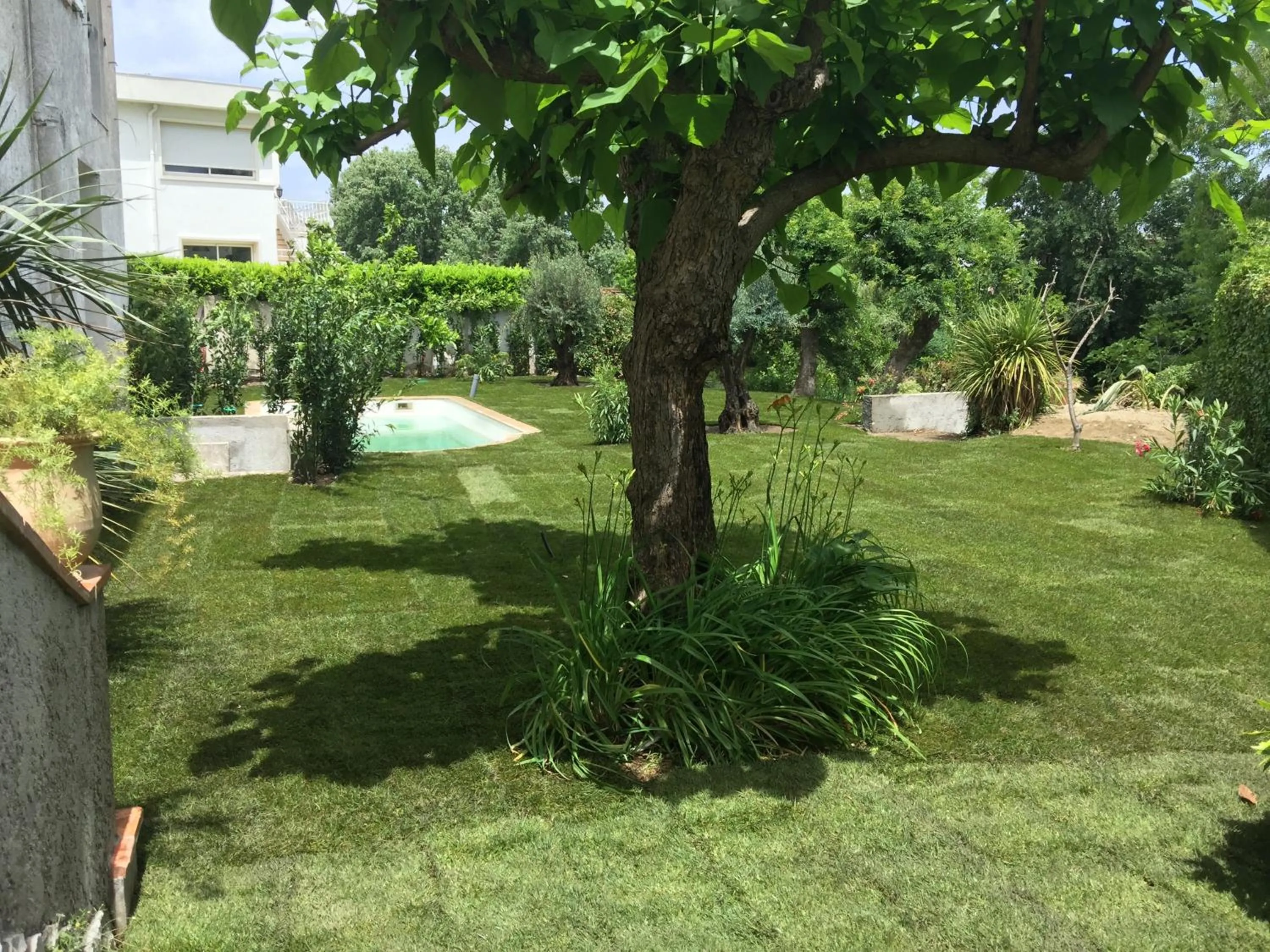 Garden in Villa Louise-Rose