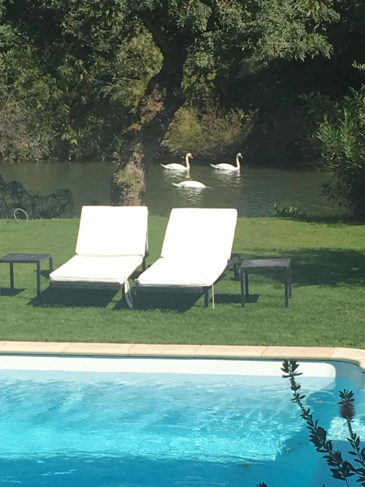 Swimming pool in Villa Louise-Rose