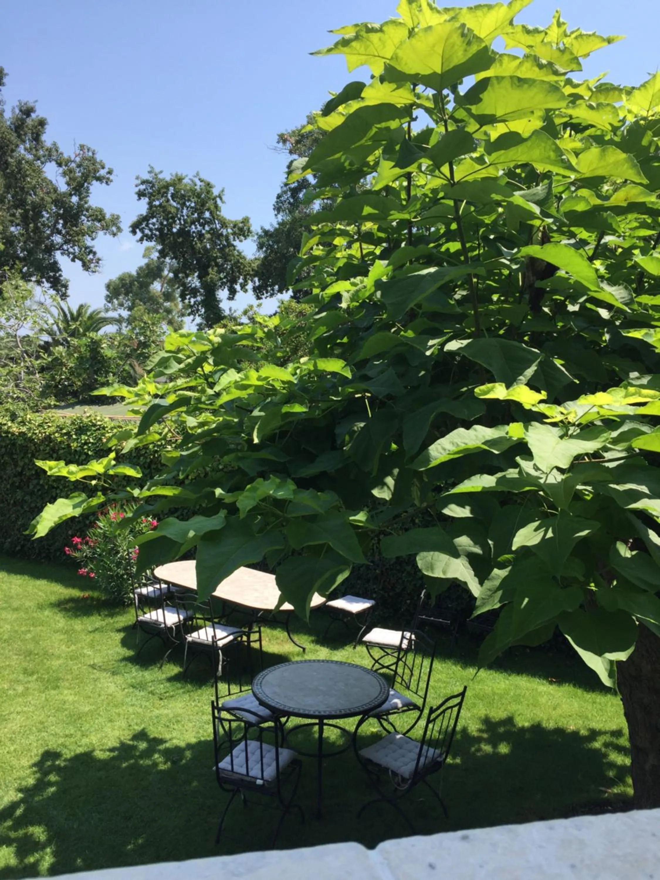 Garden view in Villa Louise-Rose