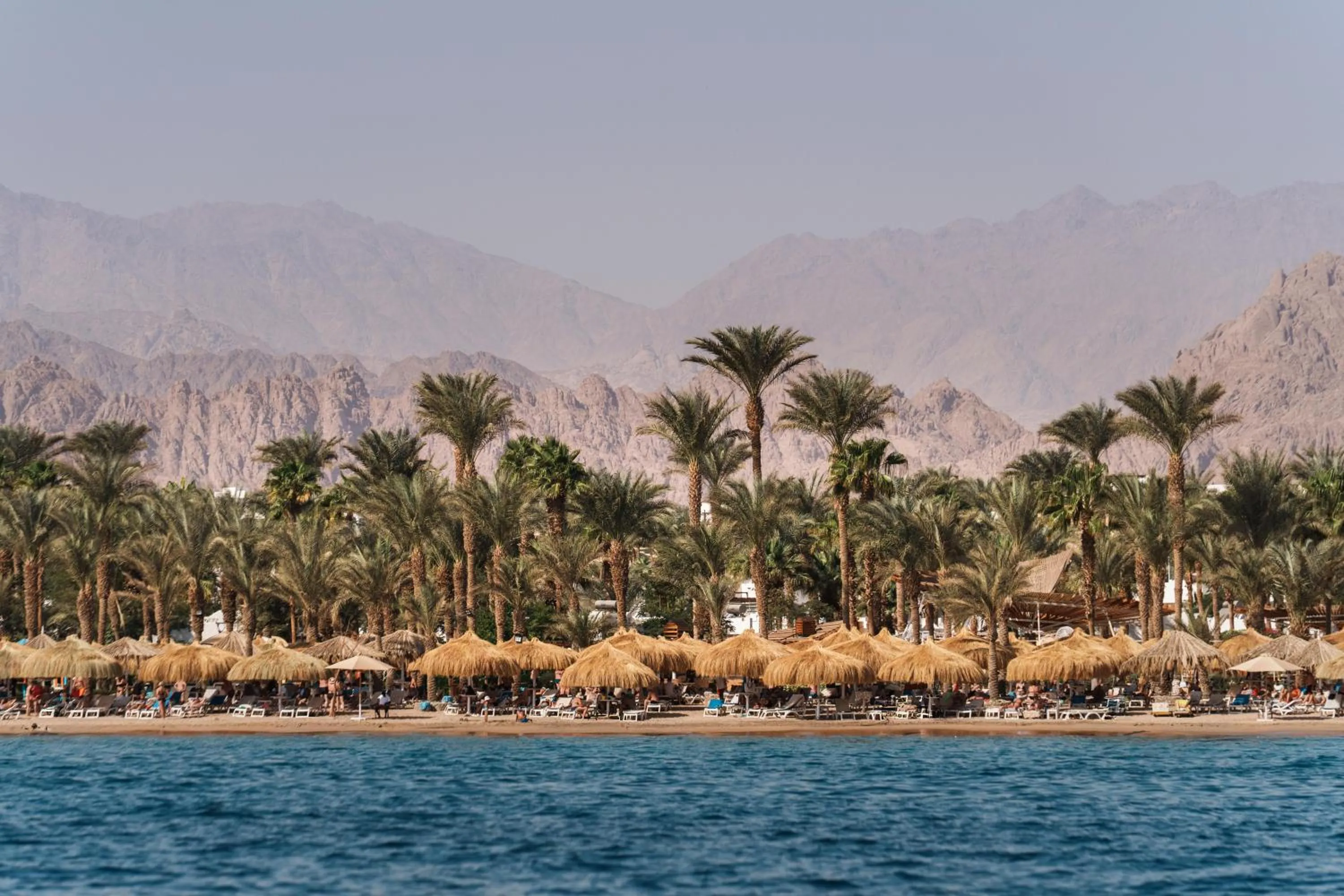 Beach in JAZ Sharm Dreams