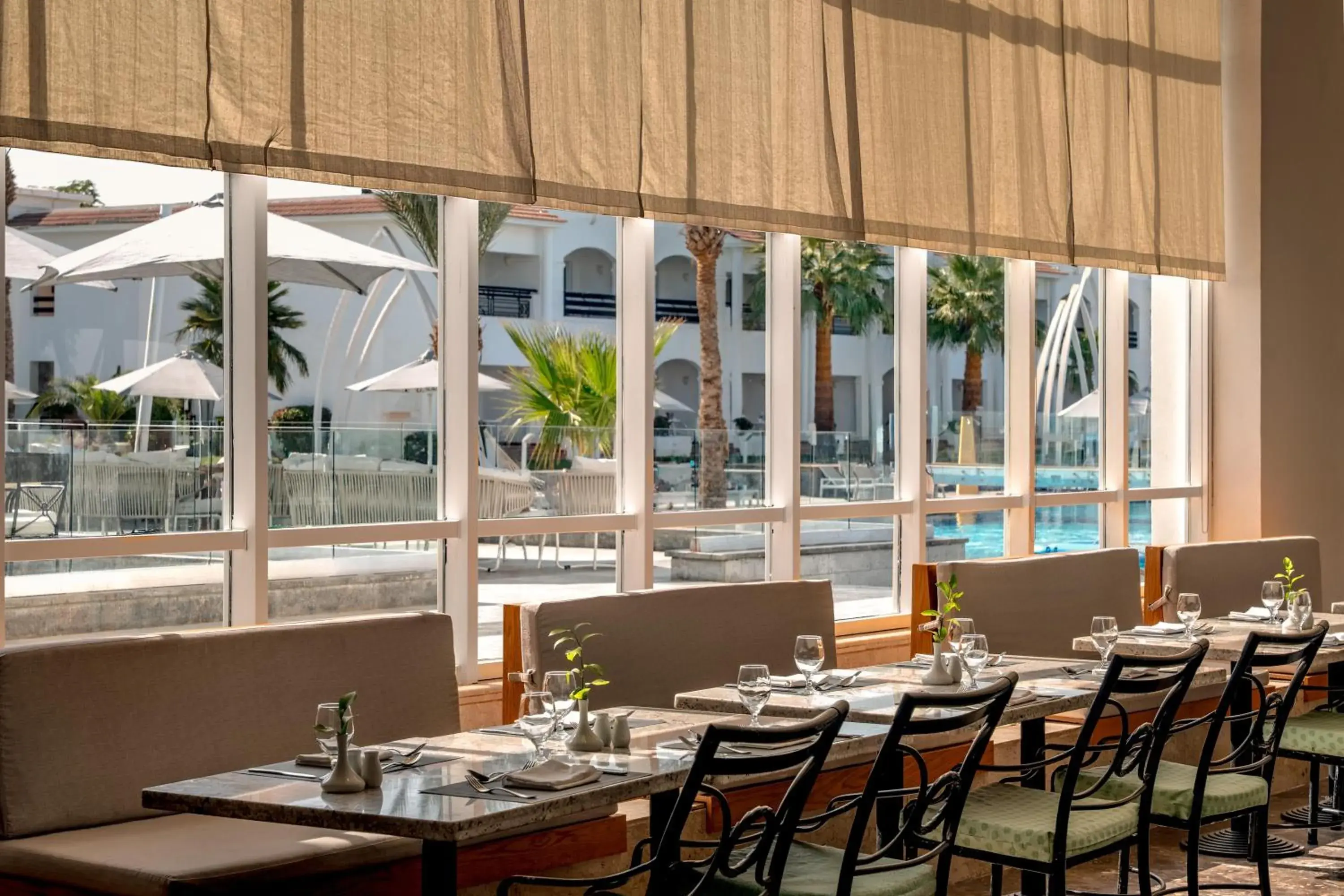 Restaurant/places to eat in JAZ Sharm Dreams Restaurant/places to eat in JAZ Sharm Dreams