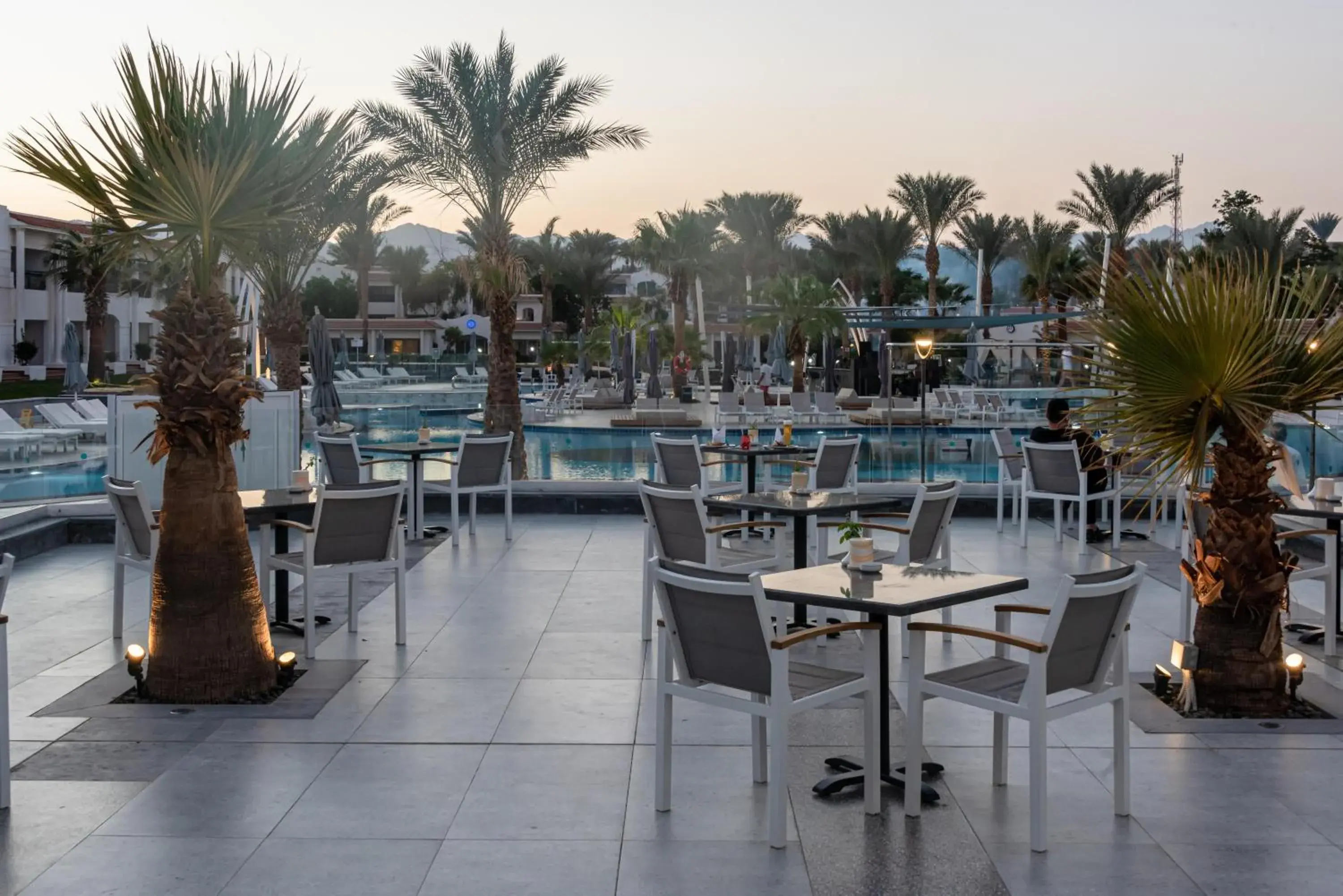 Restaurant/places to eat in JAZ Sharm Dreams Restaurant/places to eat in JAZ Sharm Dreams