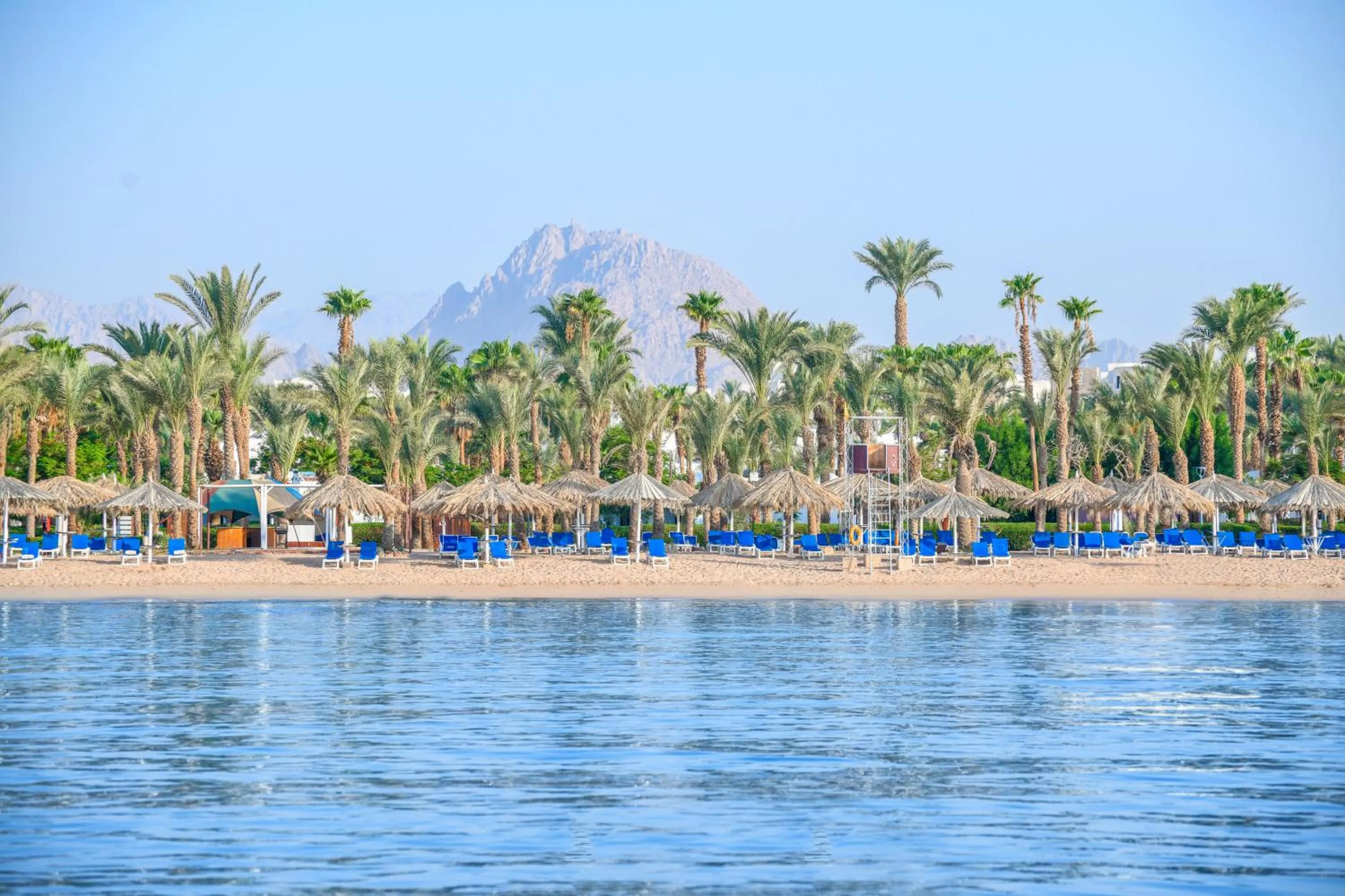 Beach in JAZ Sharm Dreams