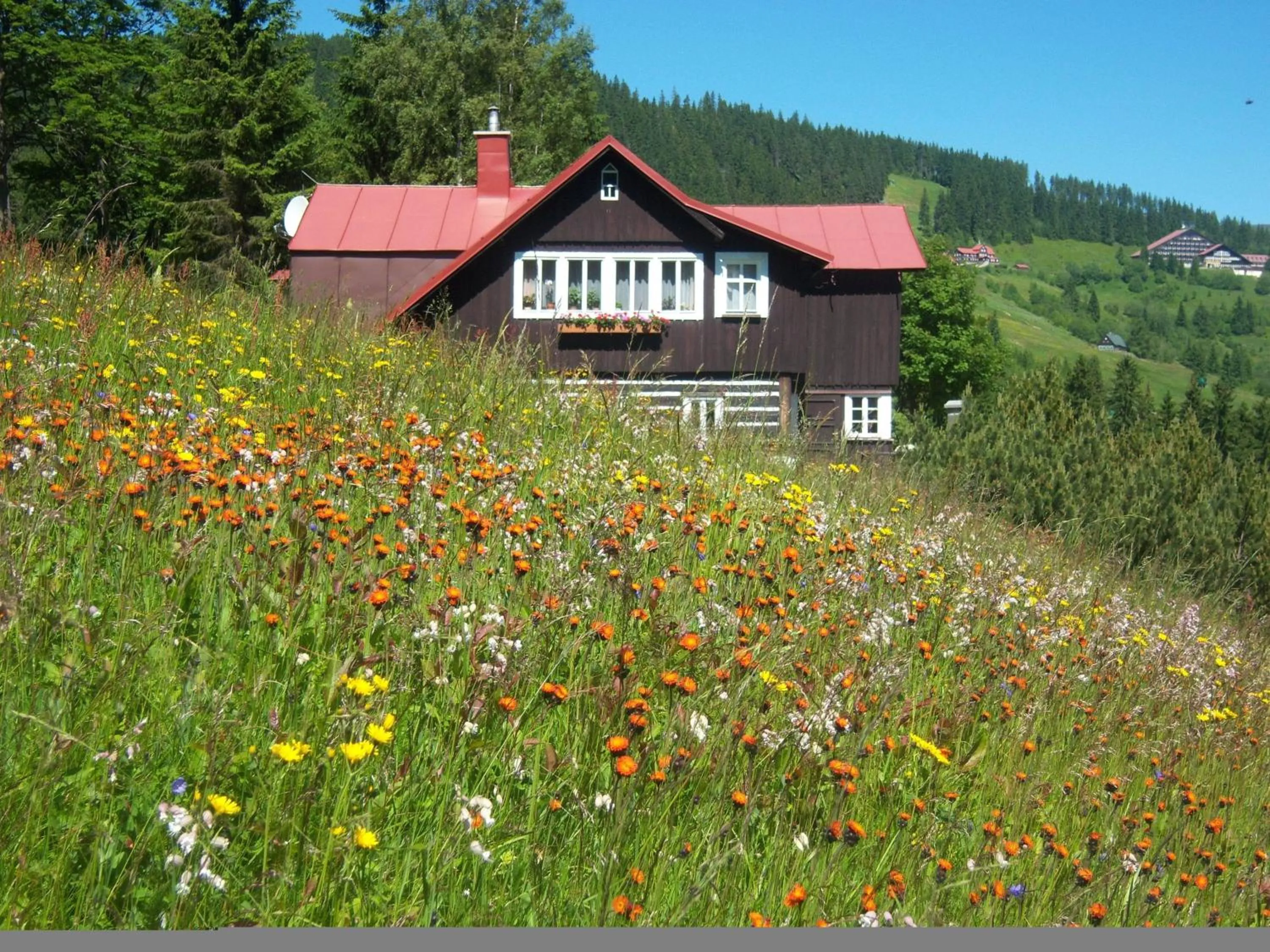 Pension Skalicky