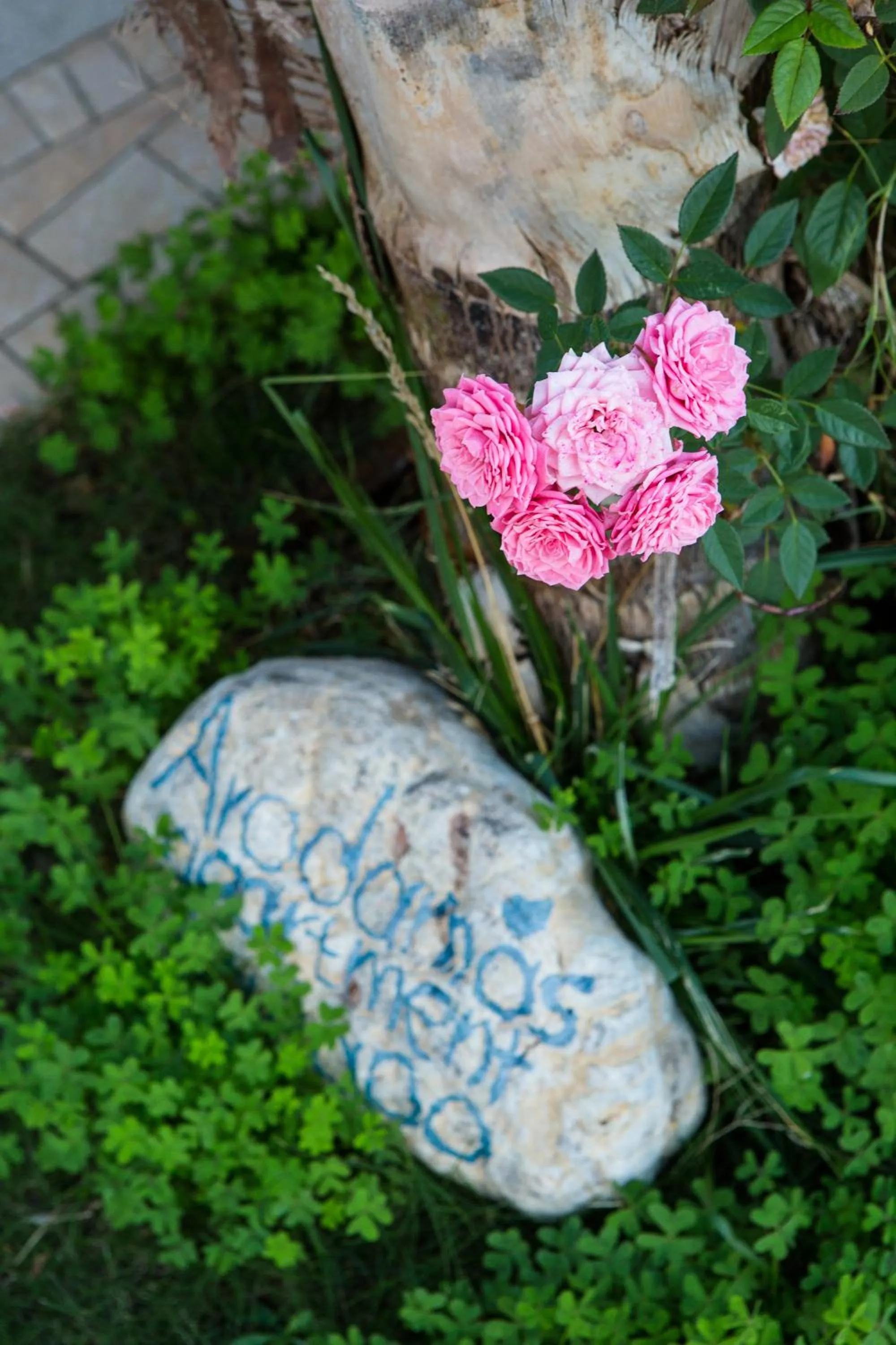 Decorative detail in Arodamos Studios & Apts