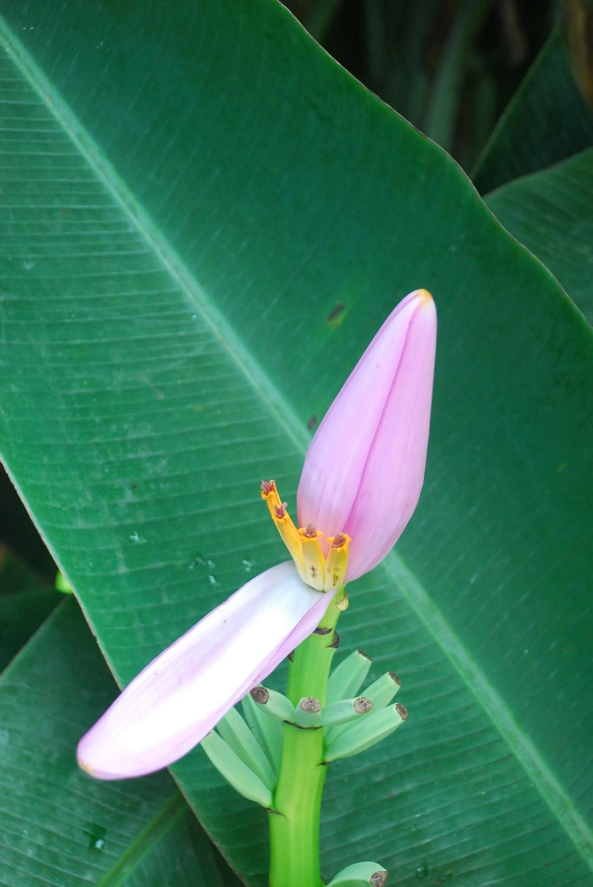 Day in Pousada do Sidão