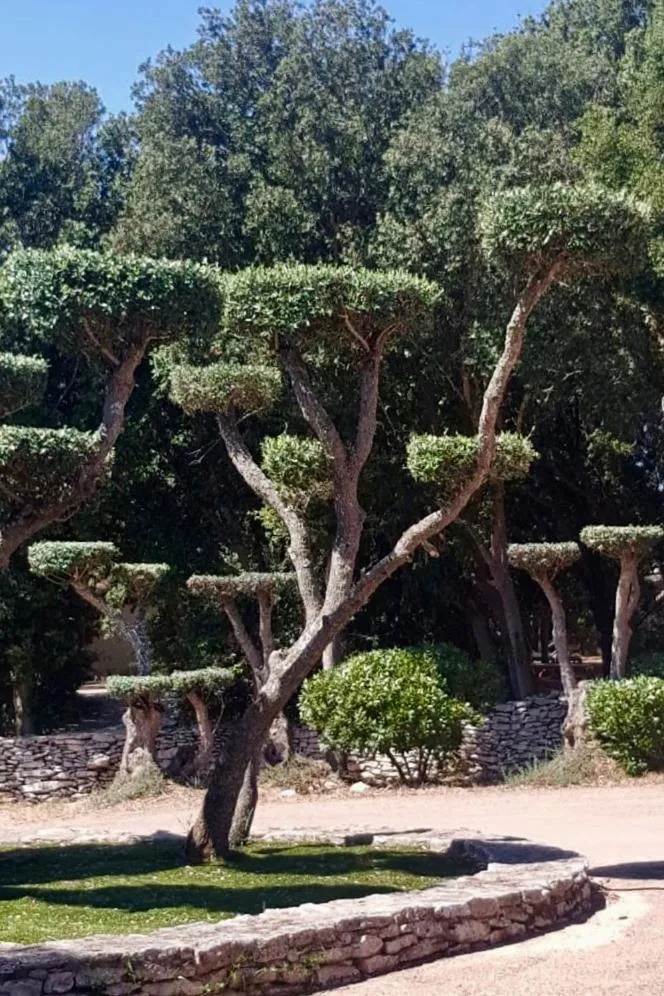 Property building in Les Suites De Pertamina