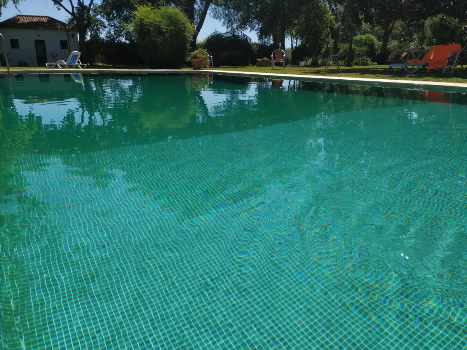 Swimming pool in Hotel Cortijo El Esparragal