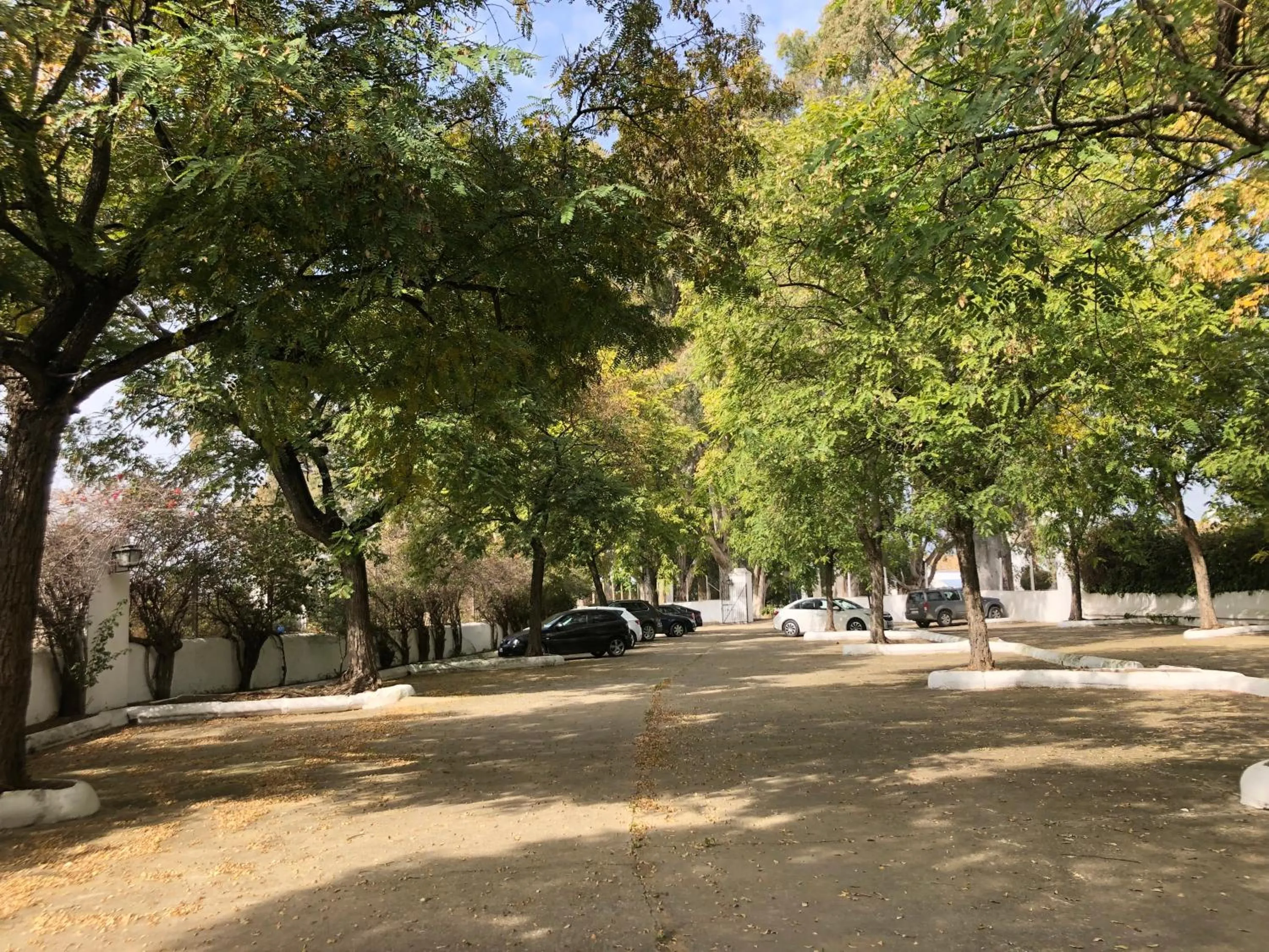 Area and facilities in Hotel Cortijo El Esparragal