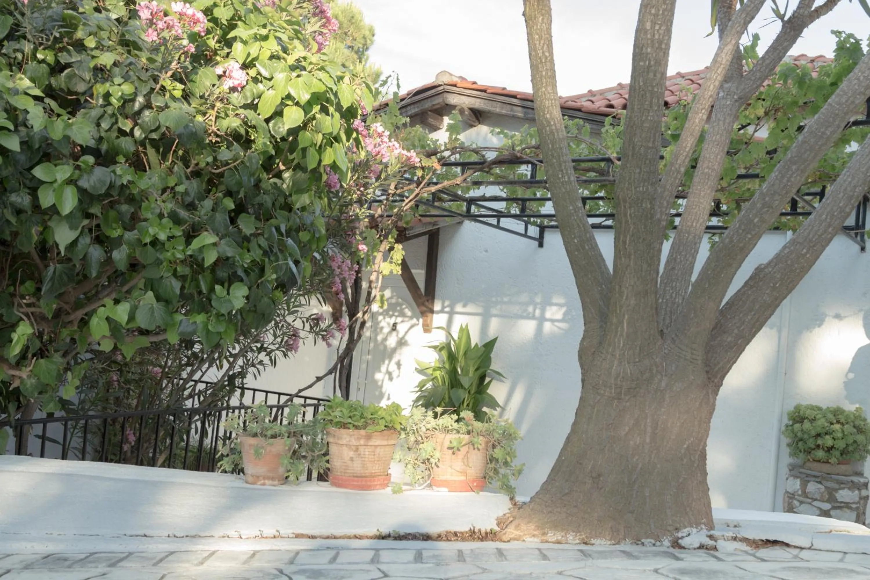 Property building in Villa Elpiniki