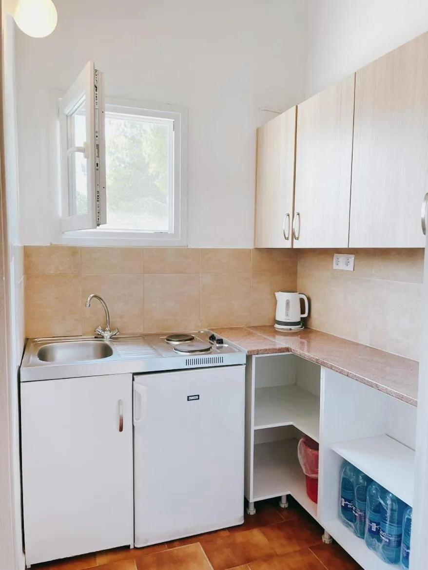 Kitchen or kitchenette in Villa Elpiniki