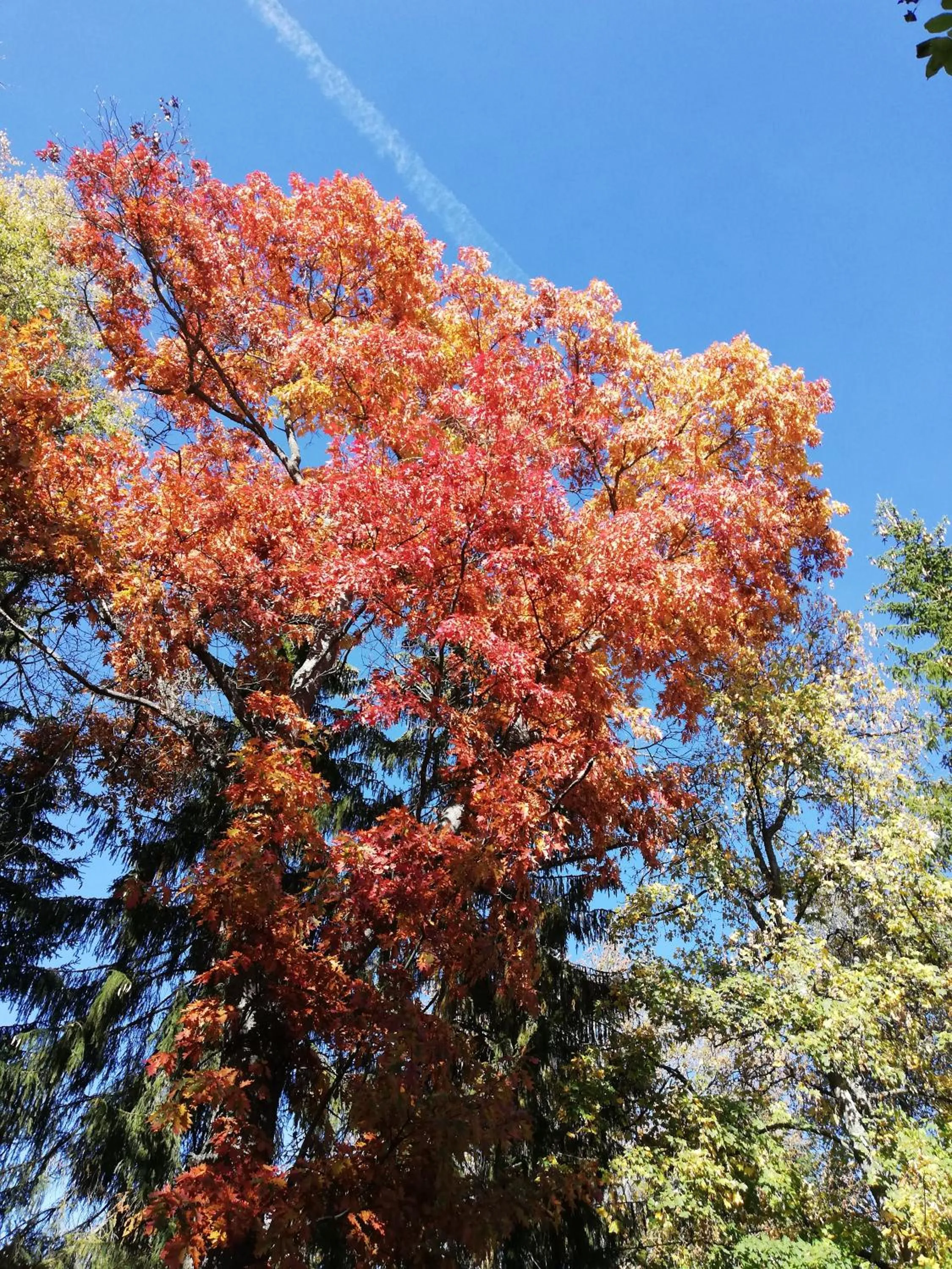 Neighbourhood in Gästehaus Rössle
