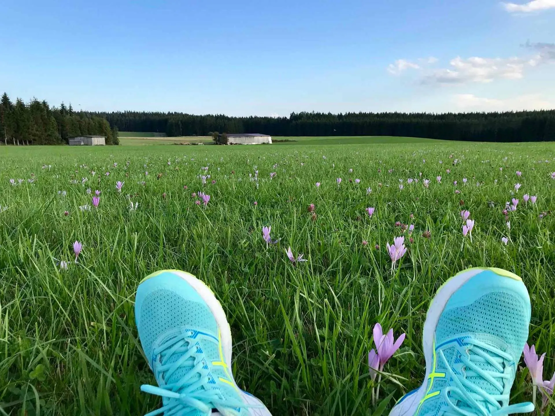 Hiking in Gästehaus Rössle