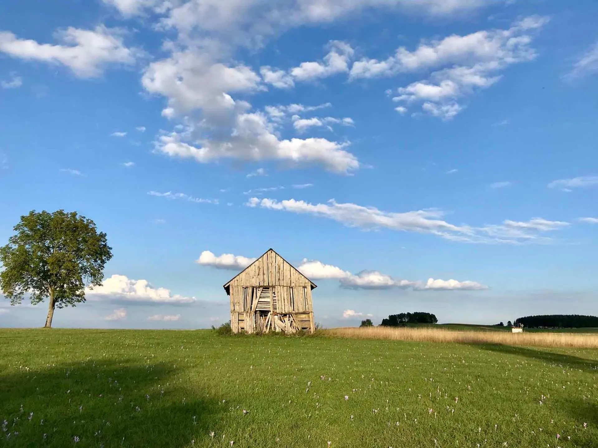 Natural landscape in Gästehaus Rössle