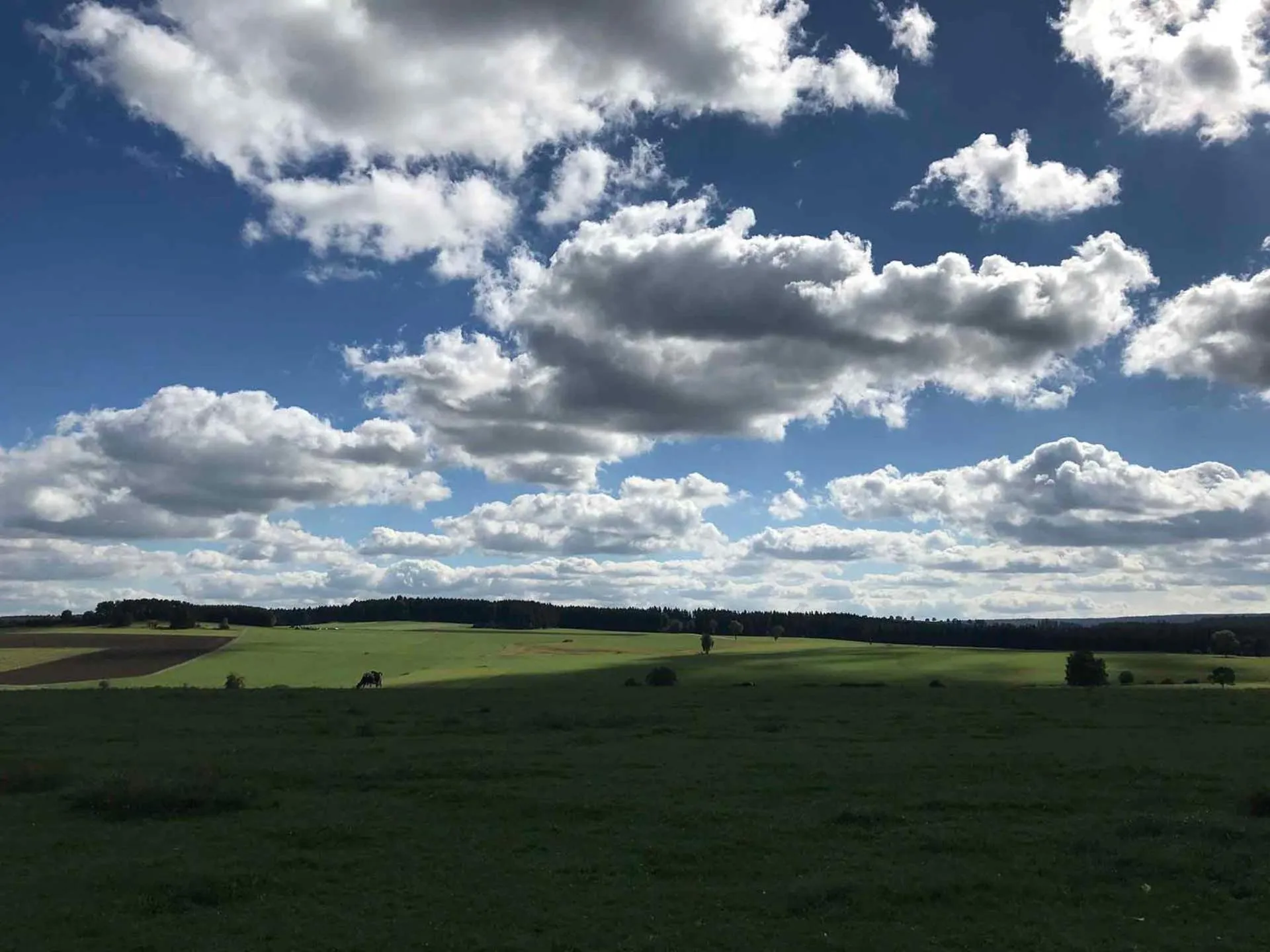 Natural landscape in Gästehaus Rössle