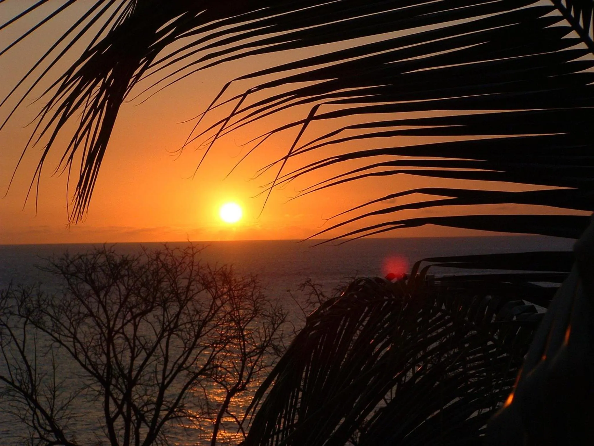 Other in Tamarind Tree Hotel