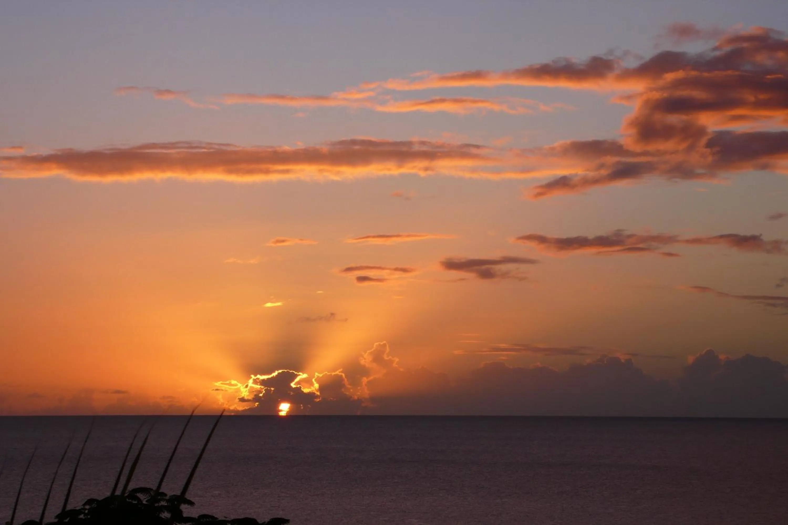 Other in Tamarind Tree Hotel