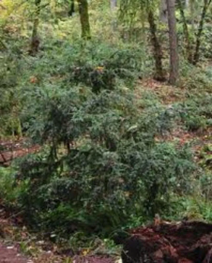 Other in LANZAROTTA Bed and Breakfast close to Eugene