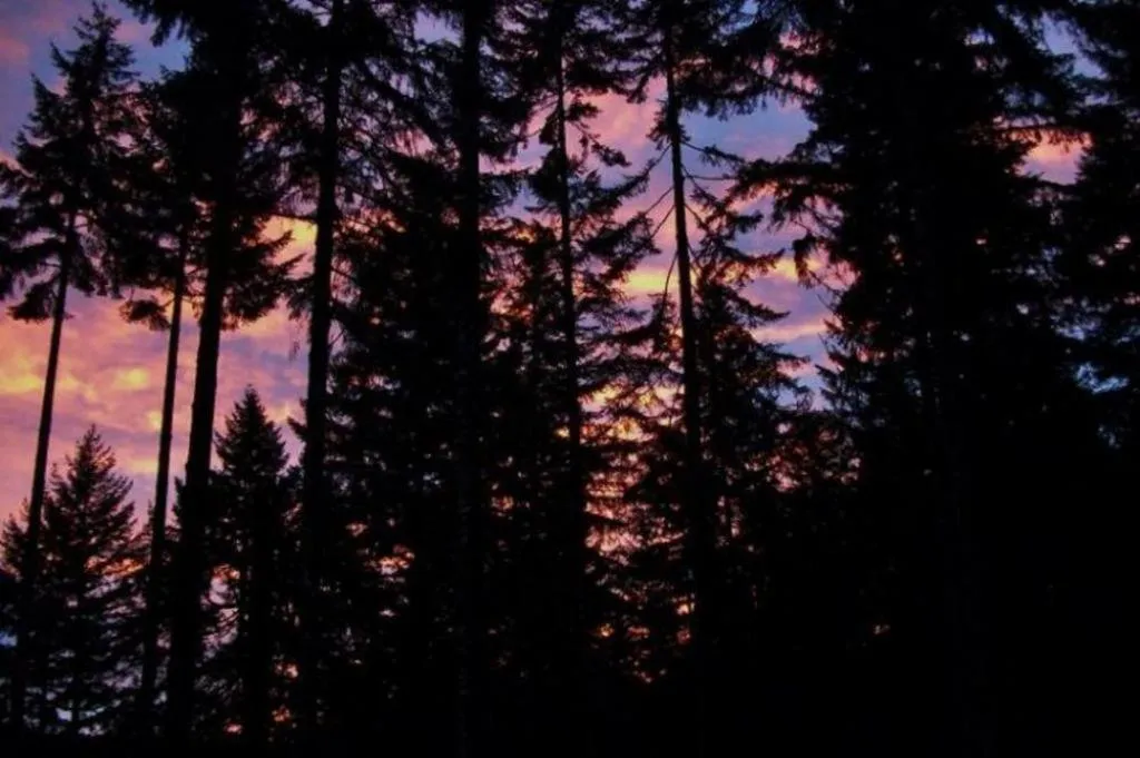 Other in LANZAROTTA Bed and Breakfast close to Eugene