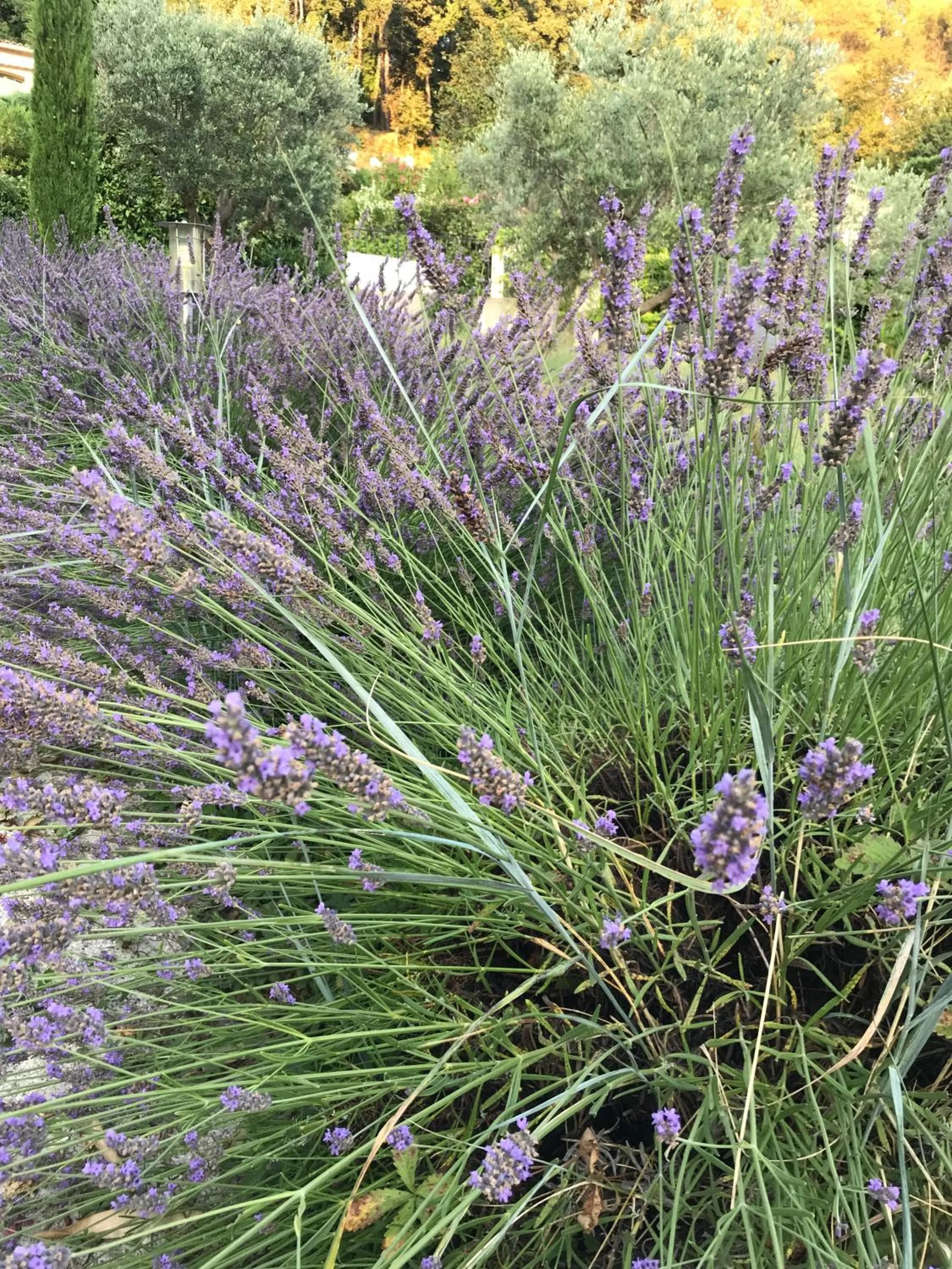 Natural landscape in Bastide Nomade - guest house