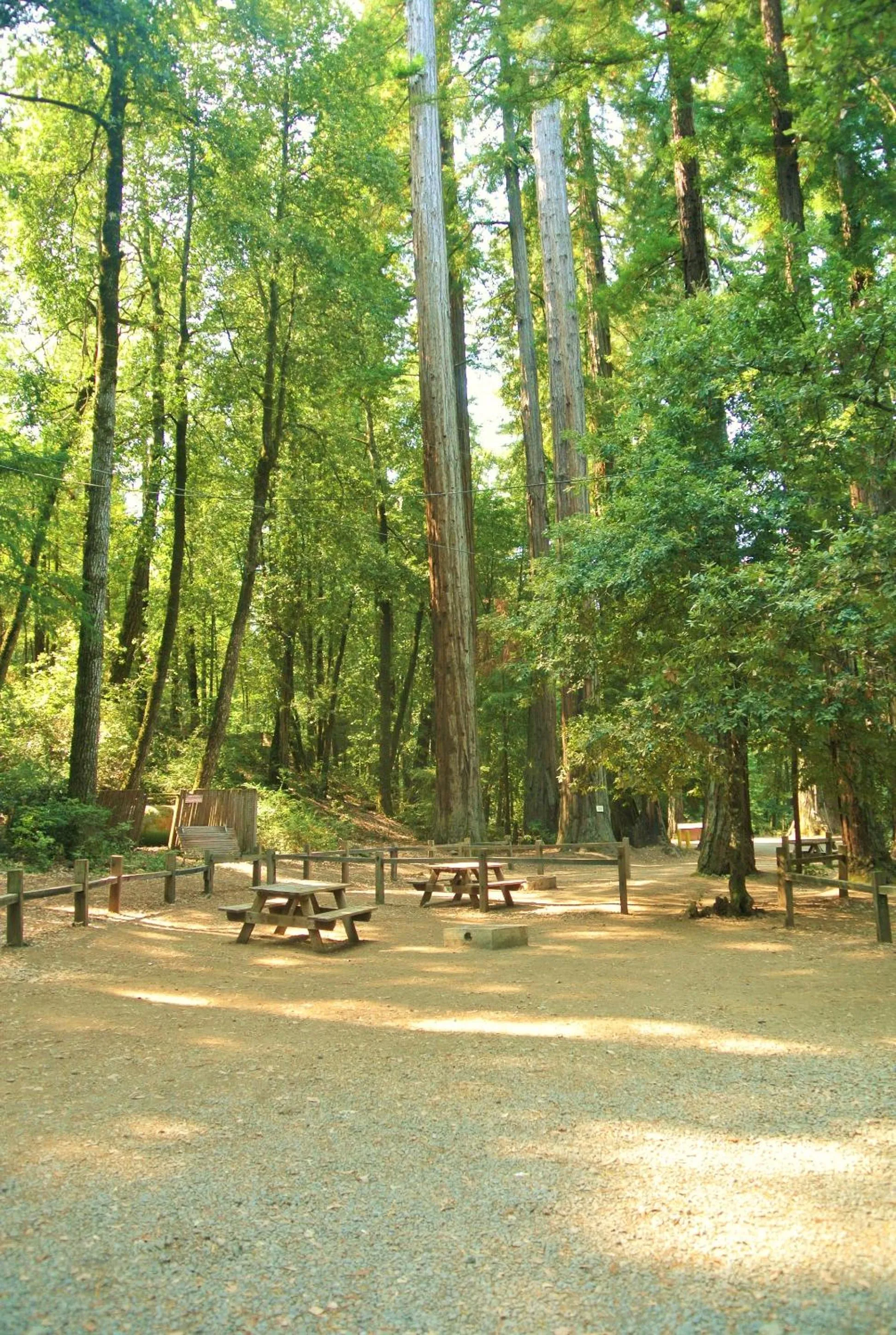 Natural landscape in Redwoods River Resort & Campground