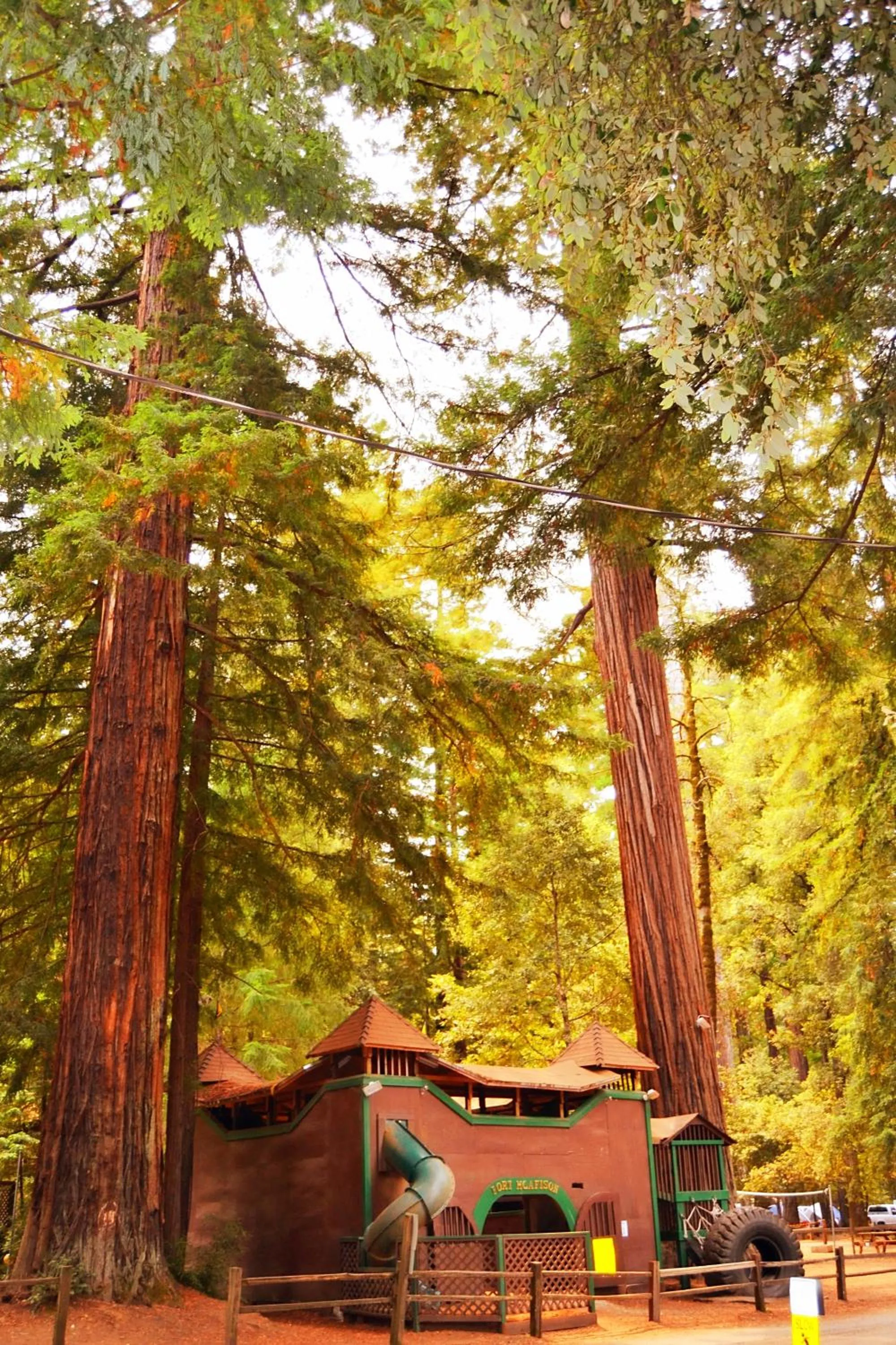 Children play ground in Redwoods River Resort & Campground