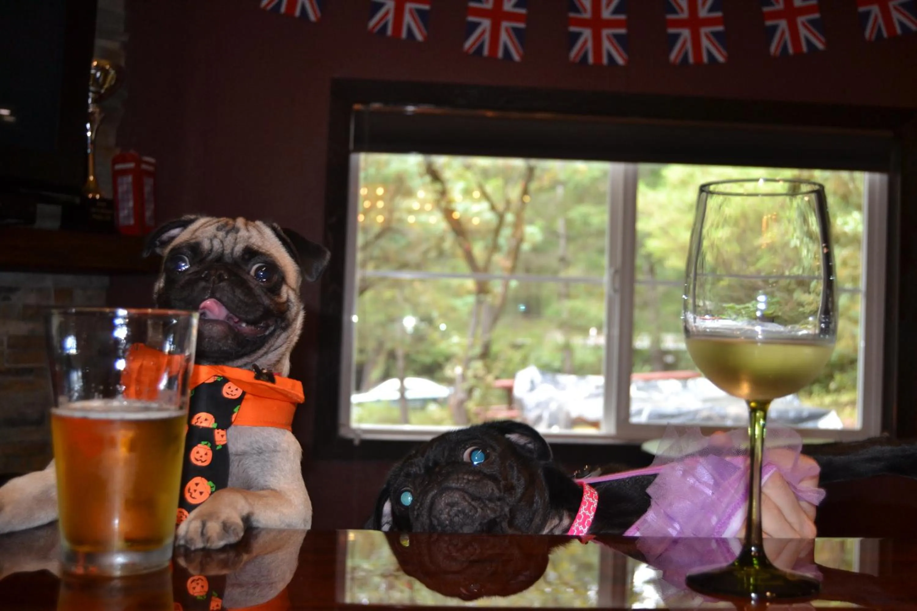 Pets in Redwoods River Resort & Campground