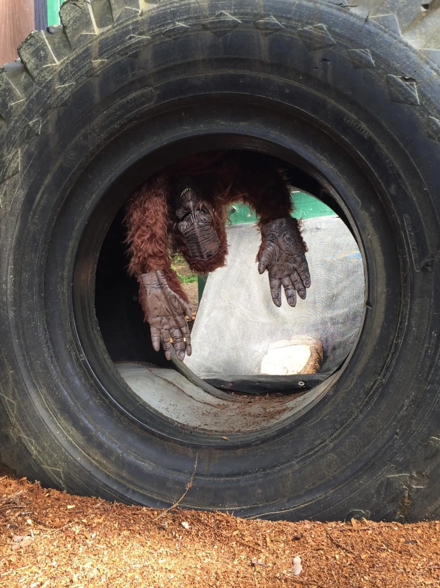 Staff in Redwoods River Resort & Campground